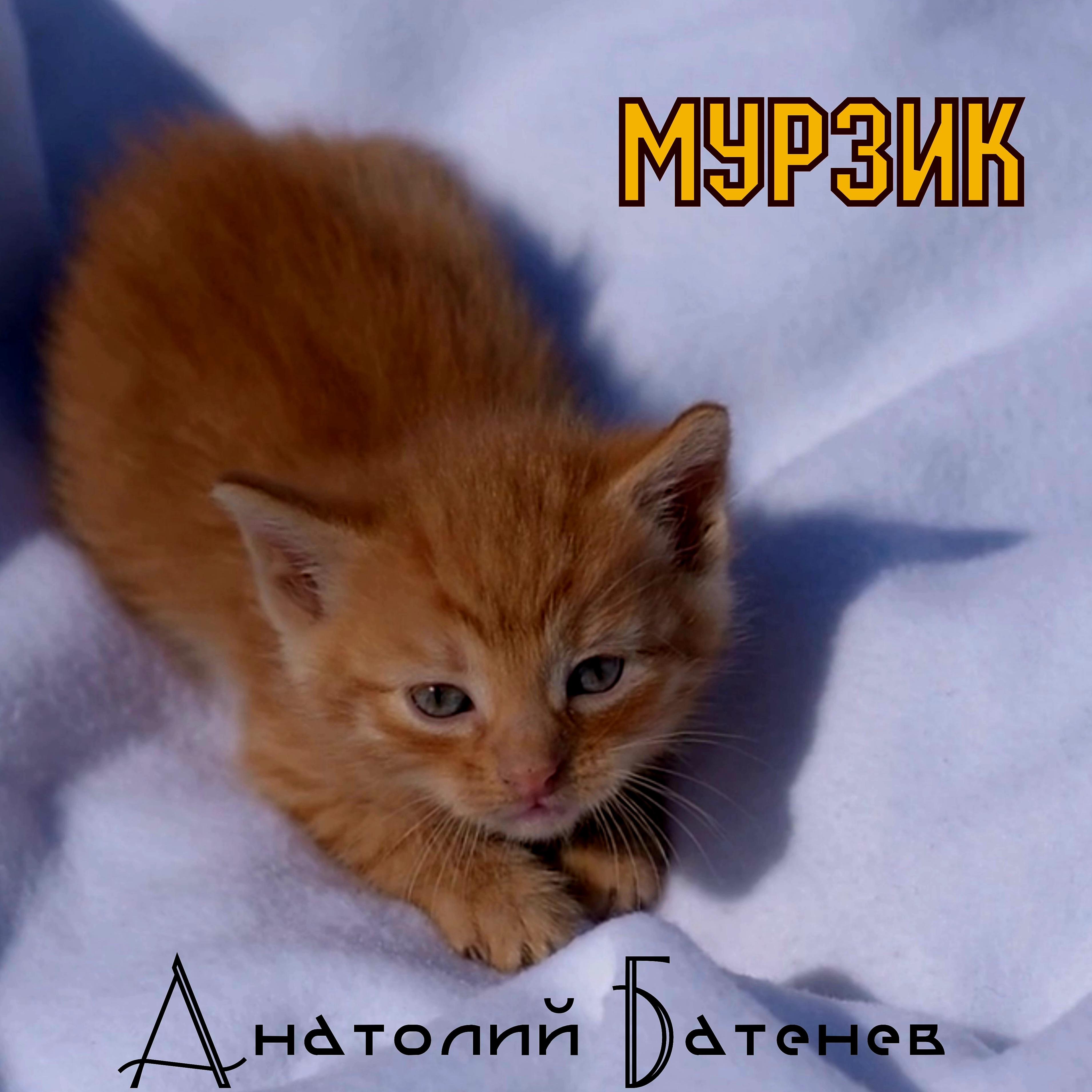 Постер альбома Мурзик