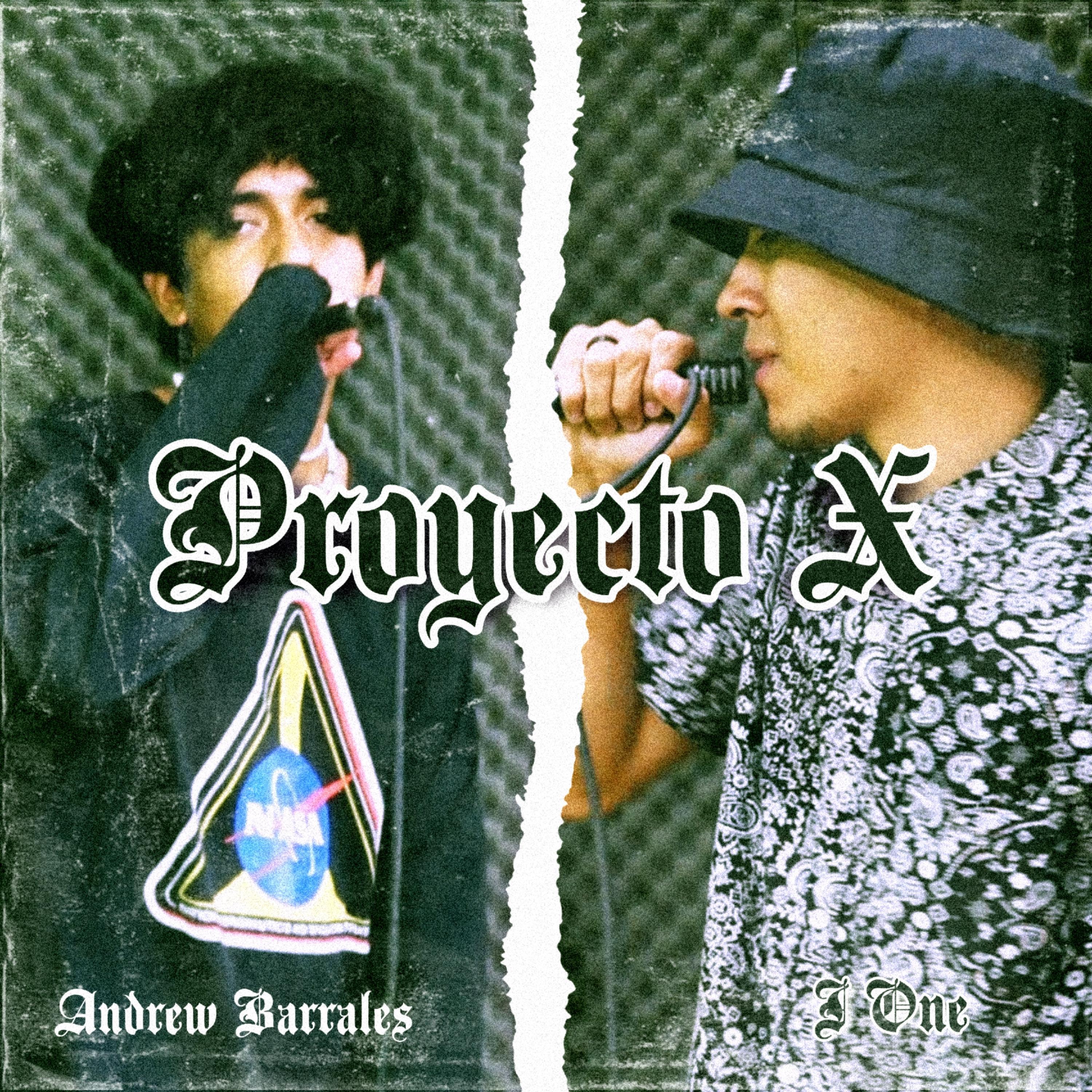 Постер альбома Proyecto X