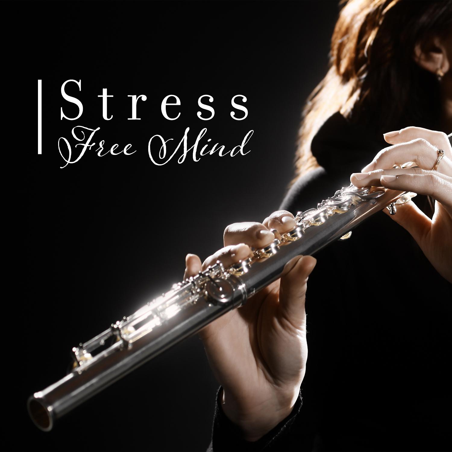 Постер альбома Stress Free Mind: Calming and Touching Variations on the Flute