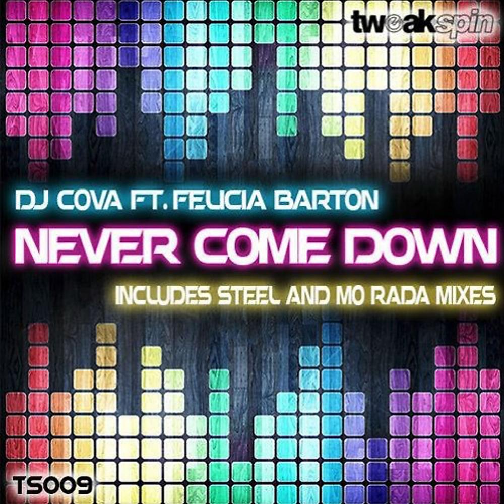 Постер альбома Never Come Down (feat. Felicia Barton)