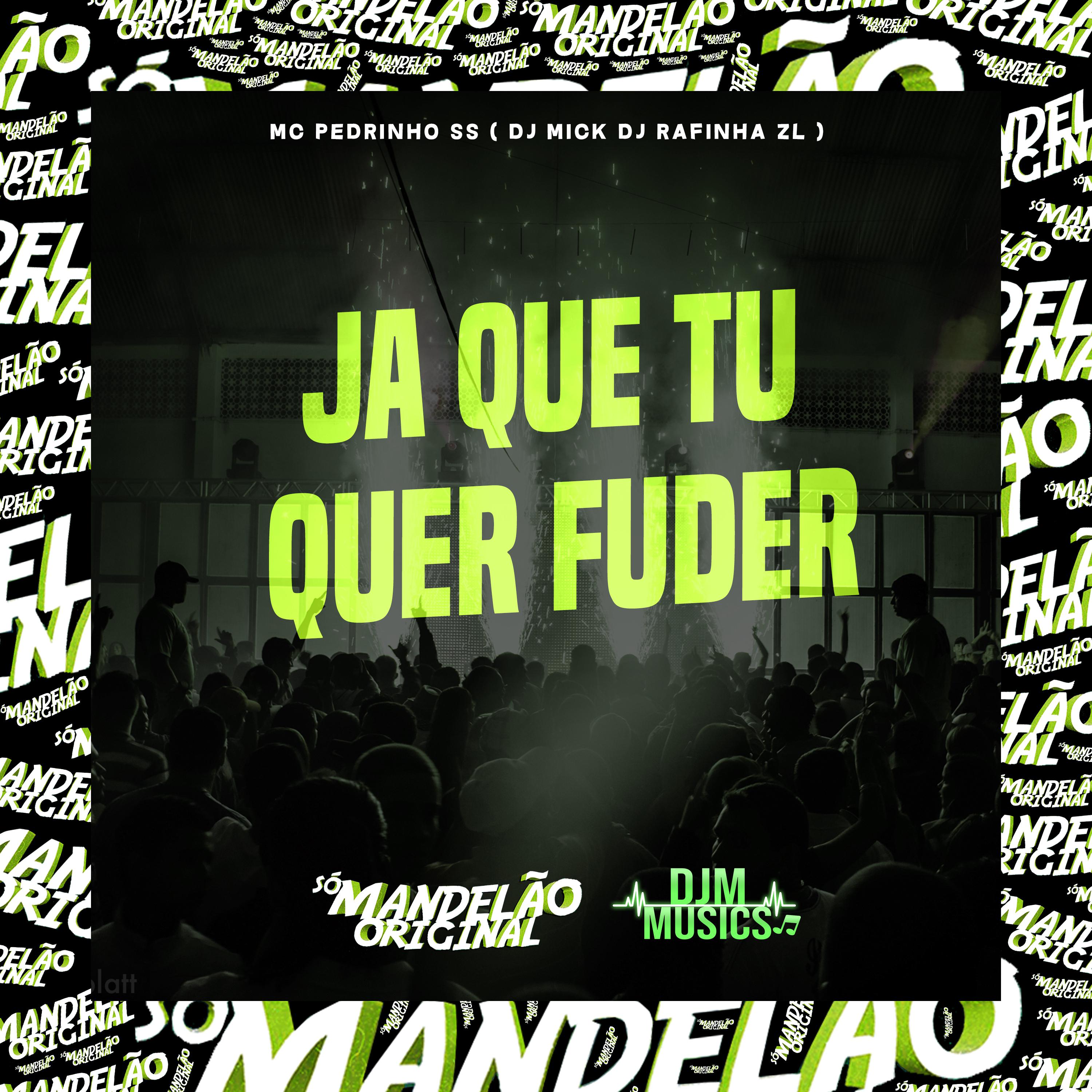 Постер альбома Ja Que Tu Quer Fuder