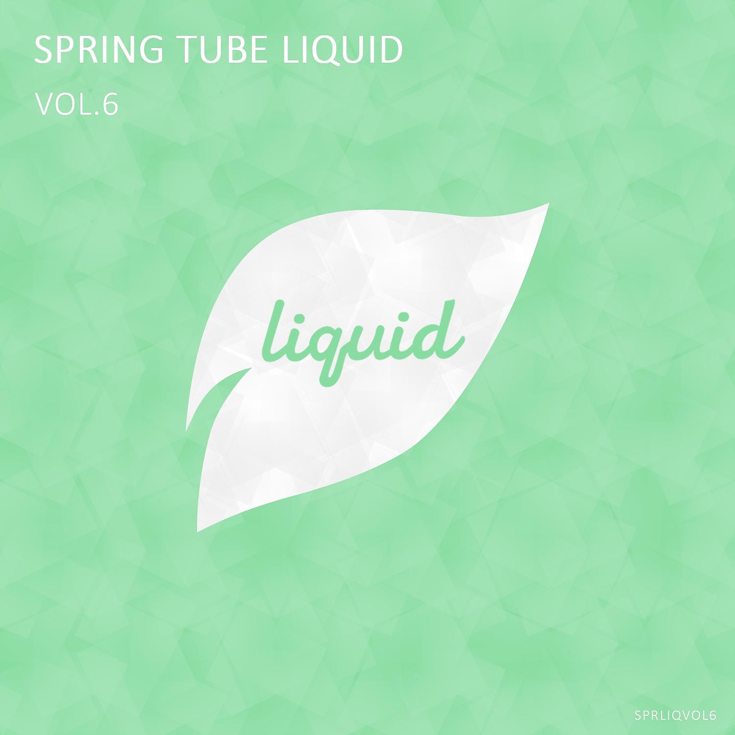 Постер альбома Spring Tube Liquid, Vol.6