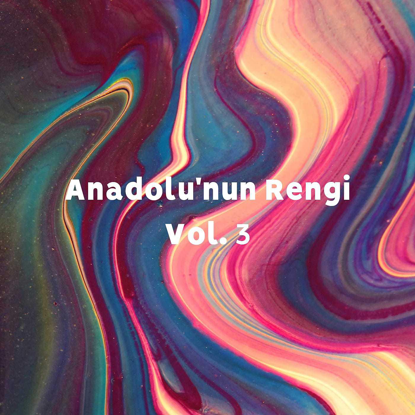 Постер альбома Anadolu'nun Rengi, Vol.3
