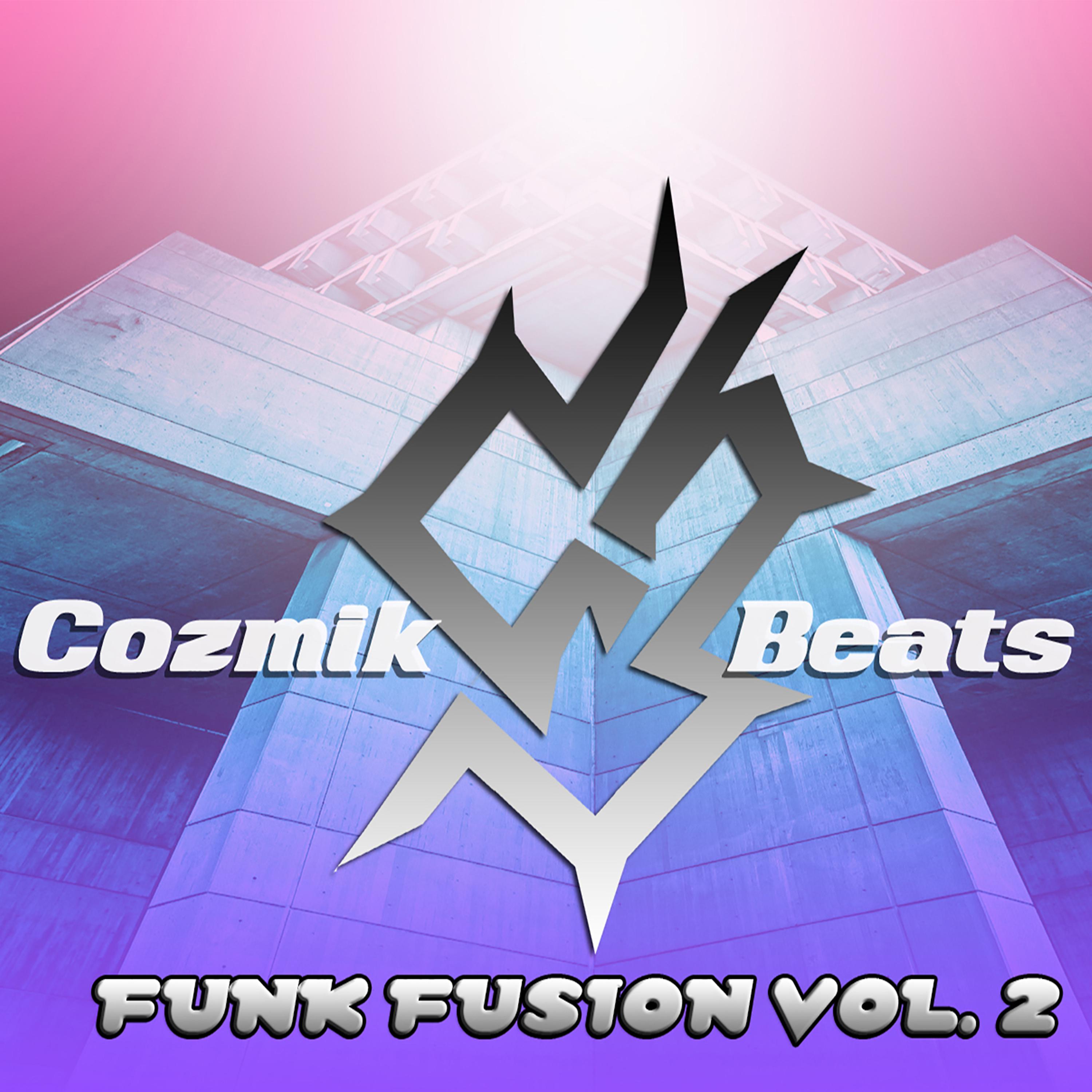 Постер альбома Funk Fusion, Vol. 2