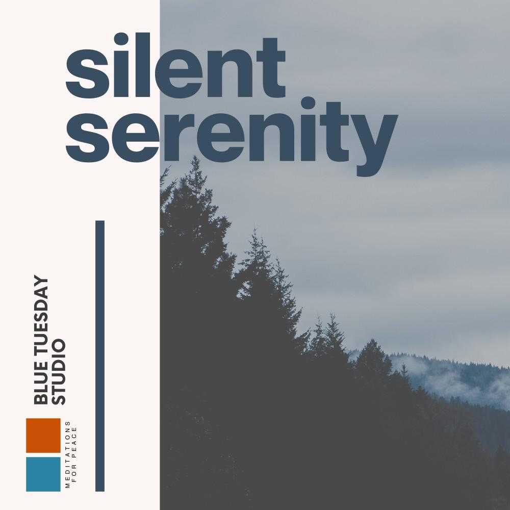 Постер альбома Silent Serenity