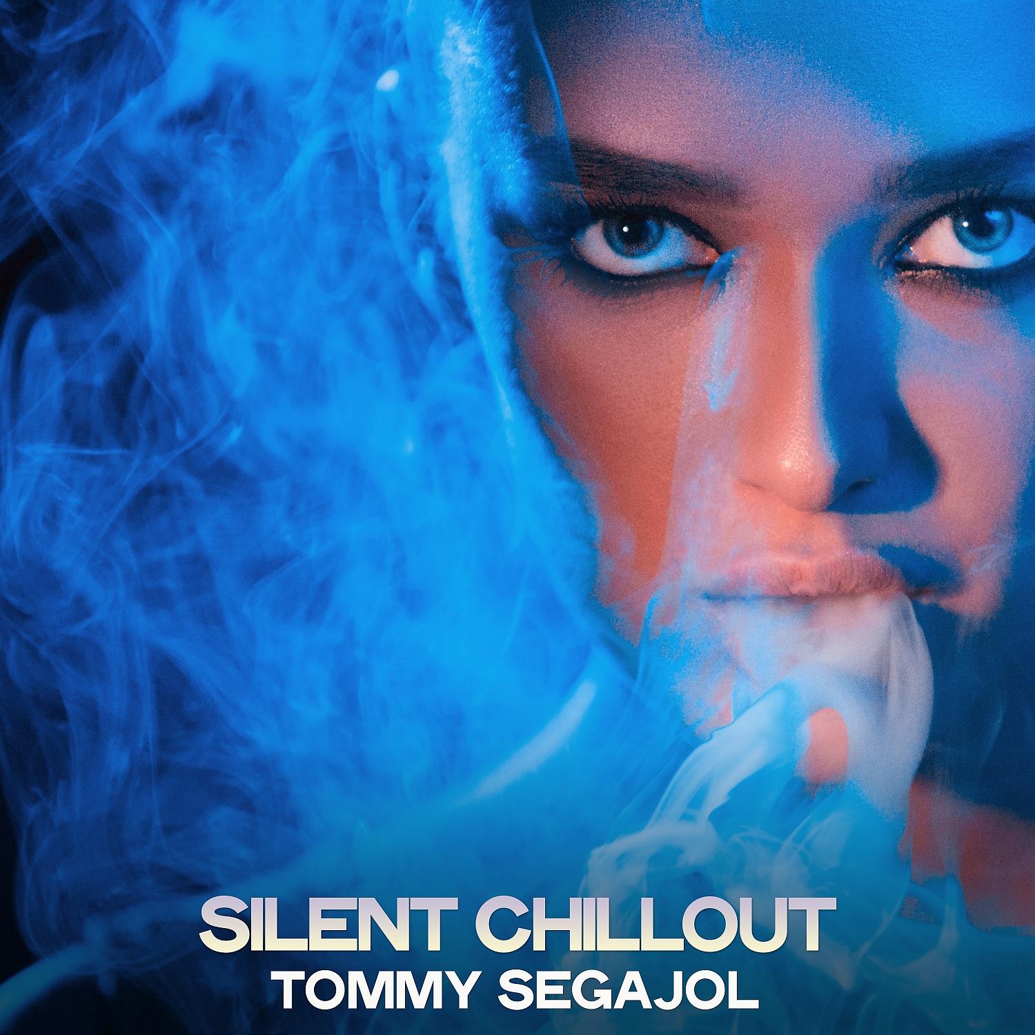 Постер альбома Silent Chillout