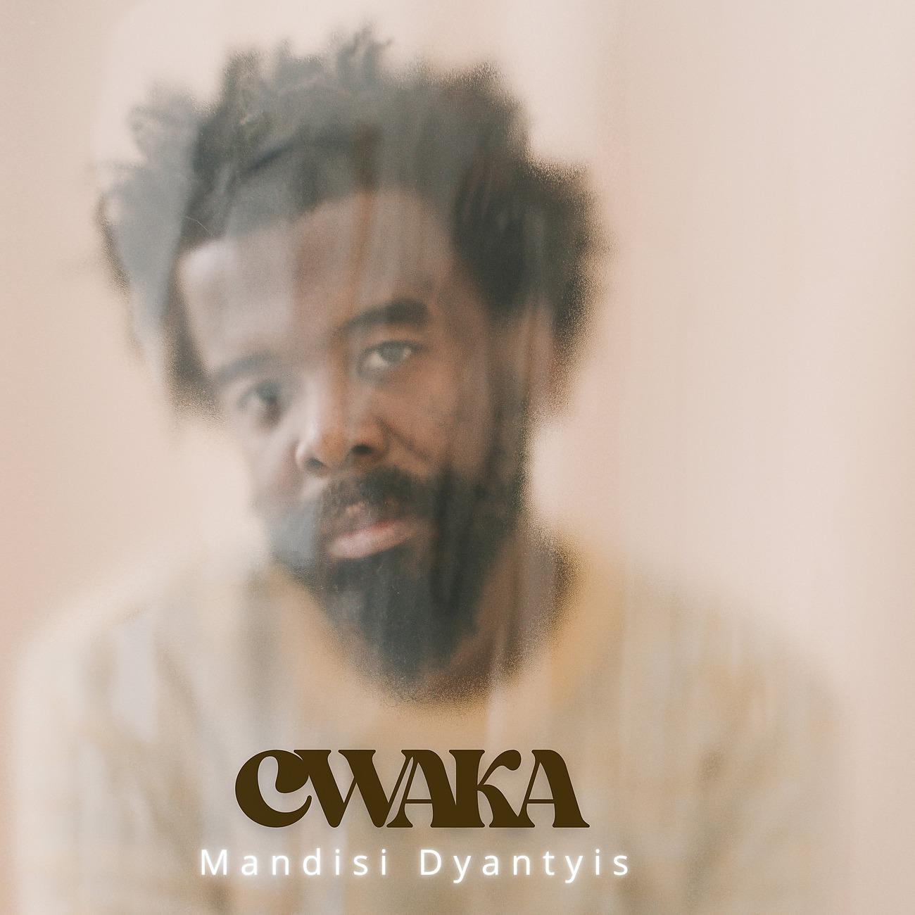 Постер альбома Cwaka