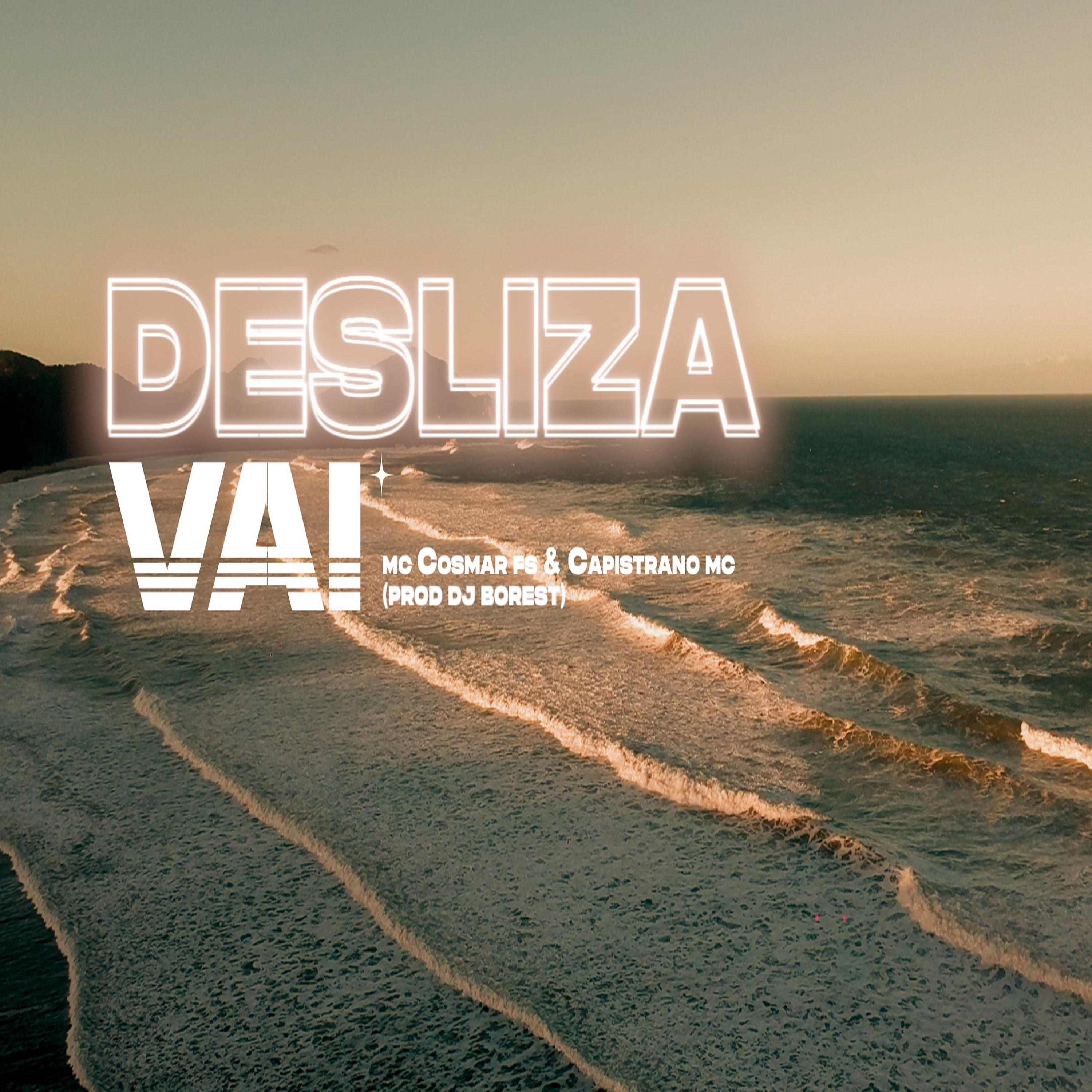 Постер альбома Desliza Vai