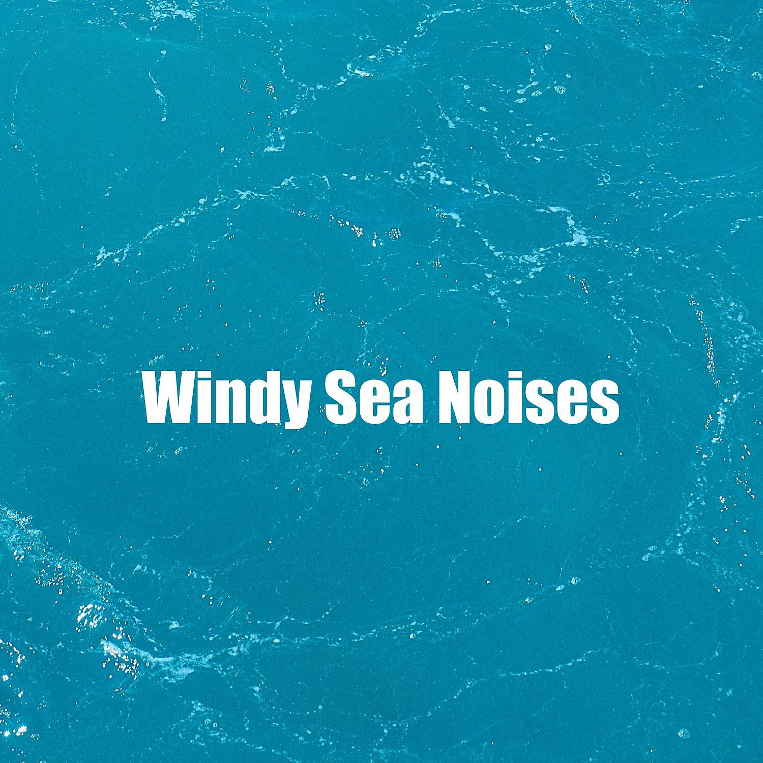 Постер альбома Windy Sea Noises