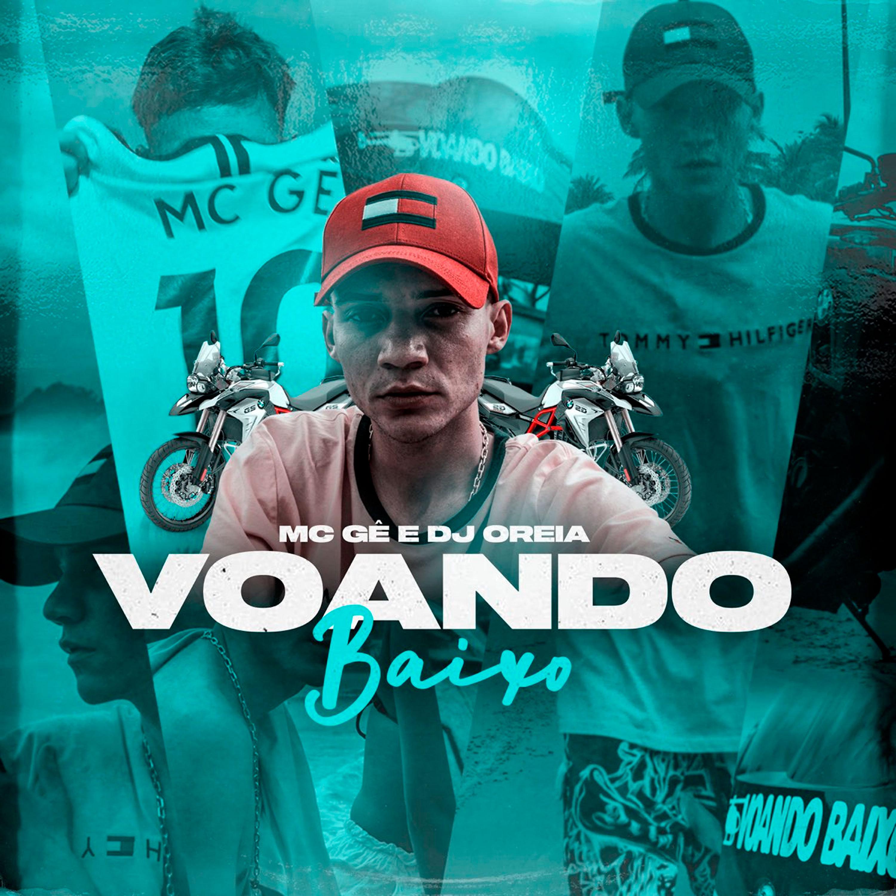 Постер альбома Voando Baixo
