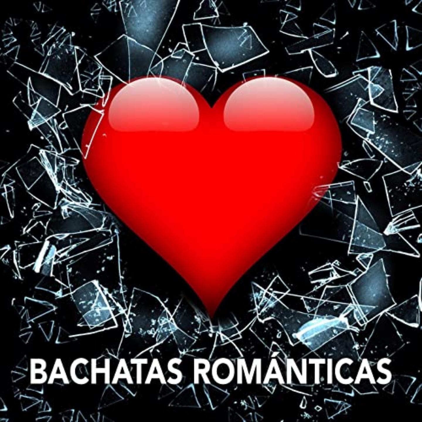 Постер альбома Bachatas Solo Éxitos