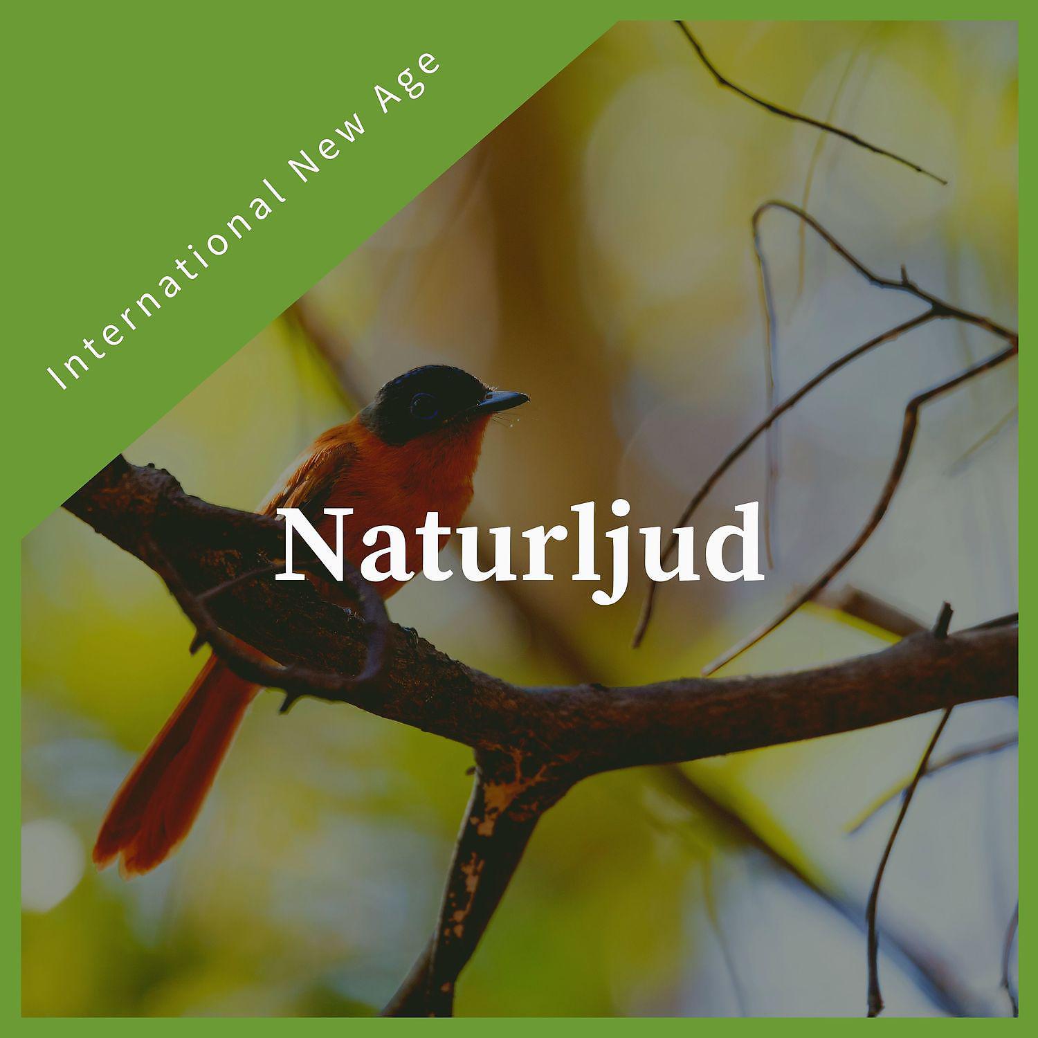 Постер альбома Naturljud - Lugn new age-musik