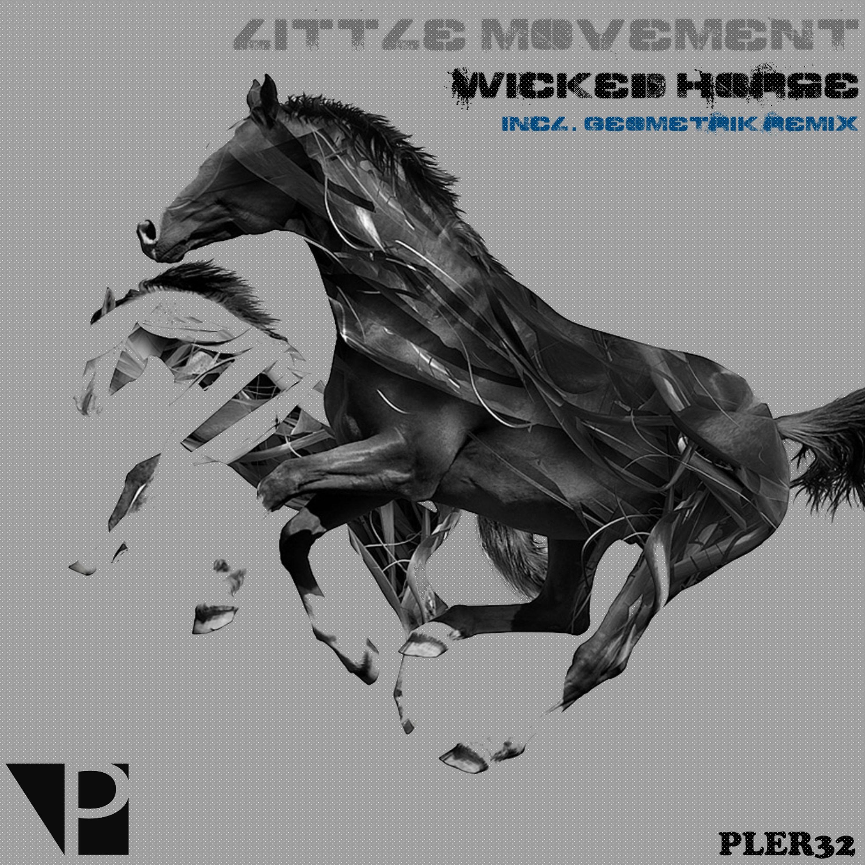 Постер альбома Wicked Horse