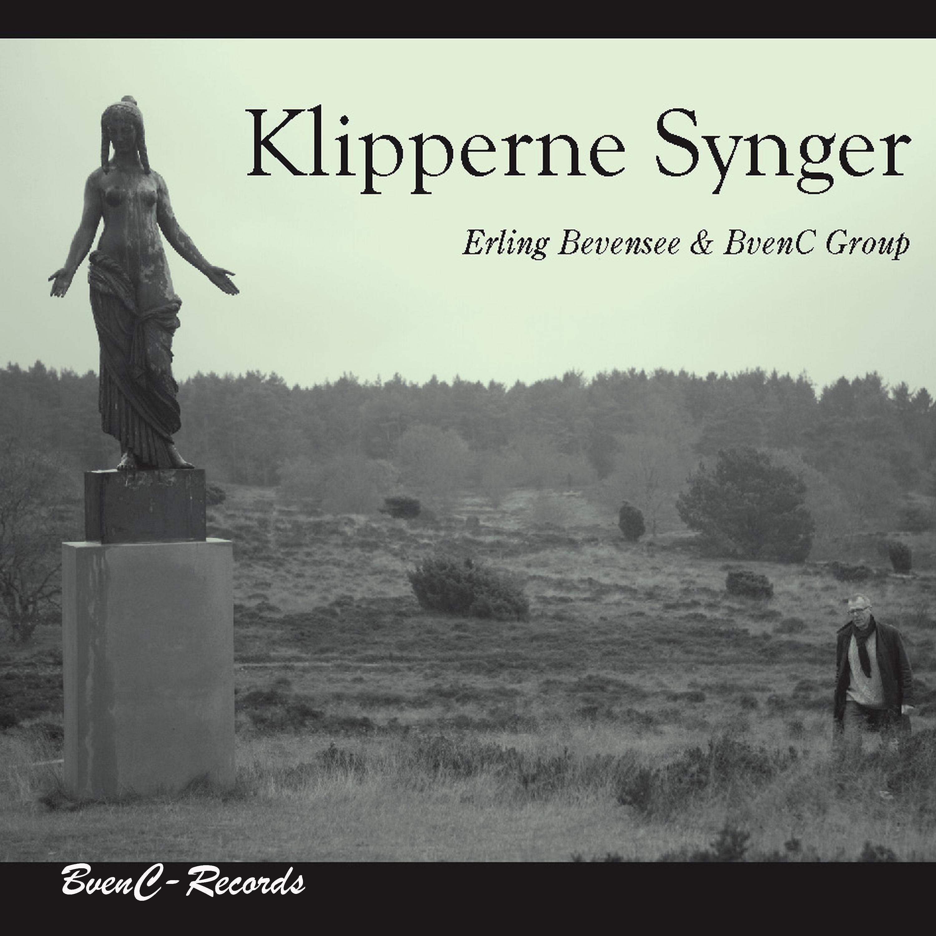 Постер альбома Klipperne Synger
