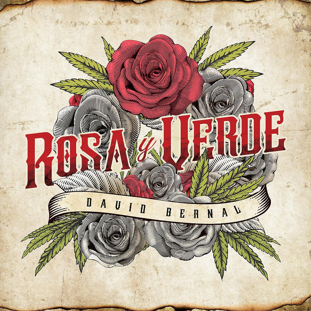 Постер альбома Rosa y Verde