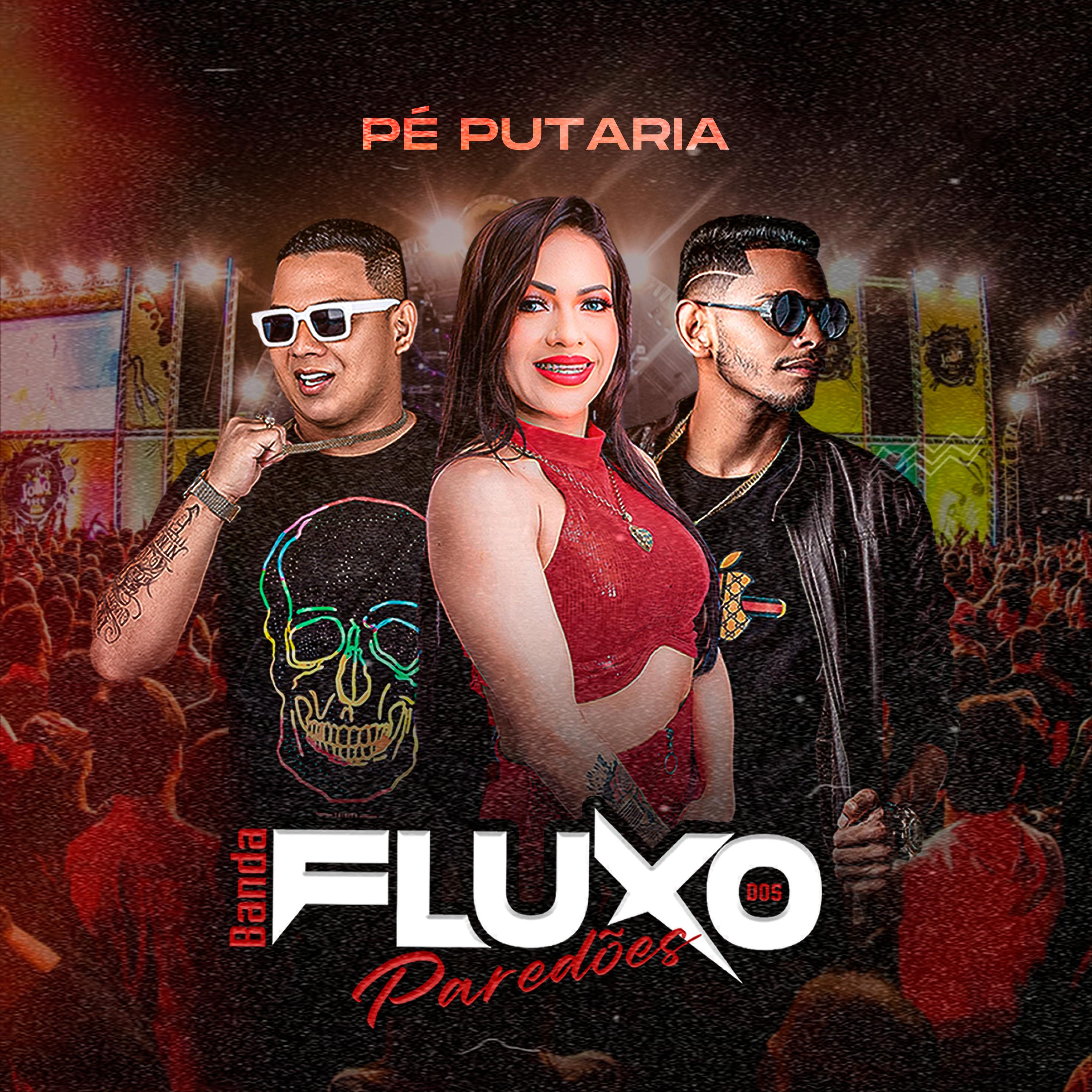 Постер альбома Pé Putaria