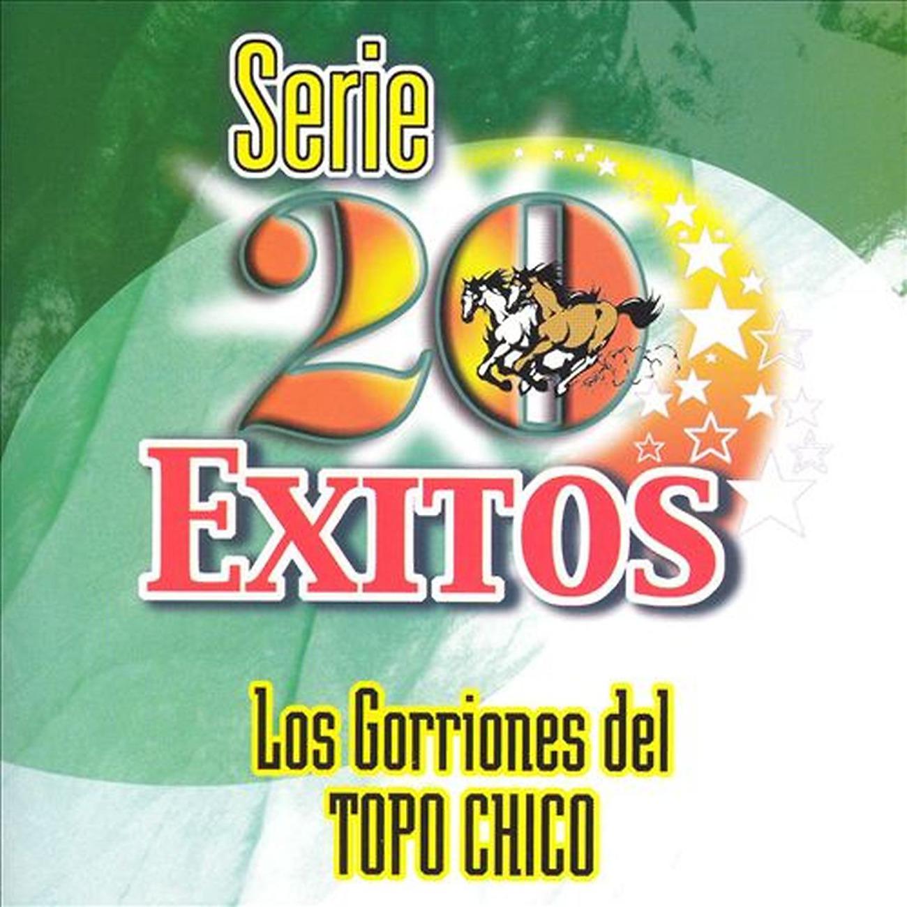 Постер альбома Serie 20 Exitos Los Gorriones del Topo Chico