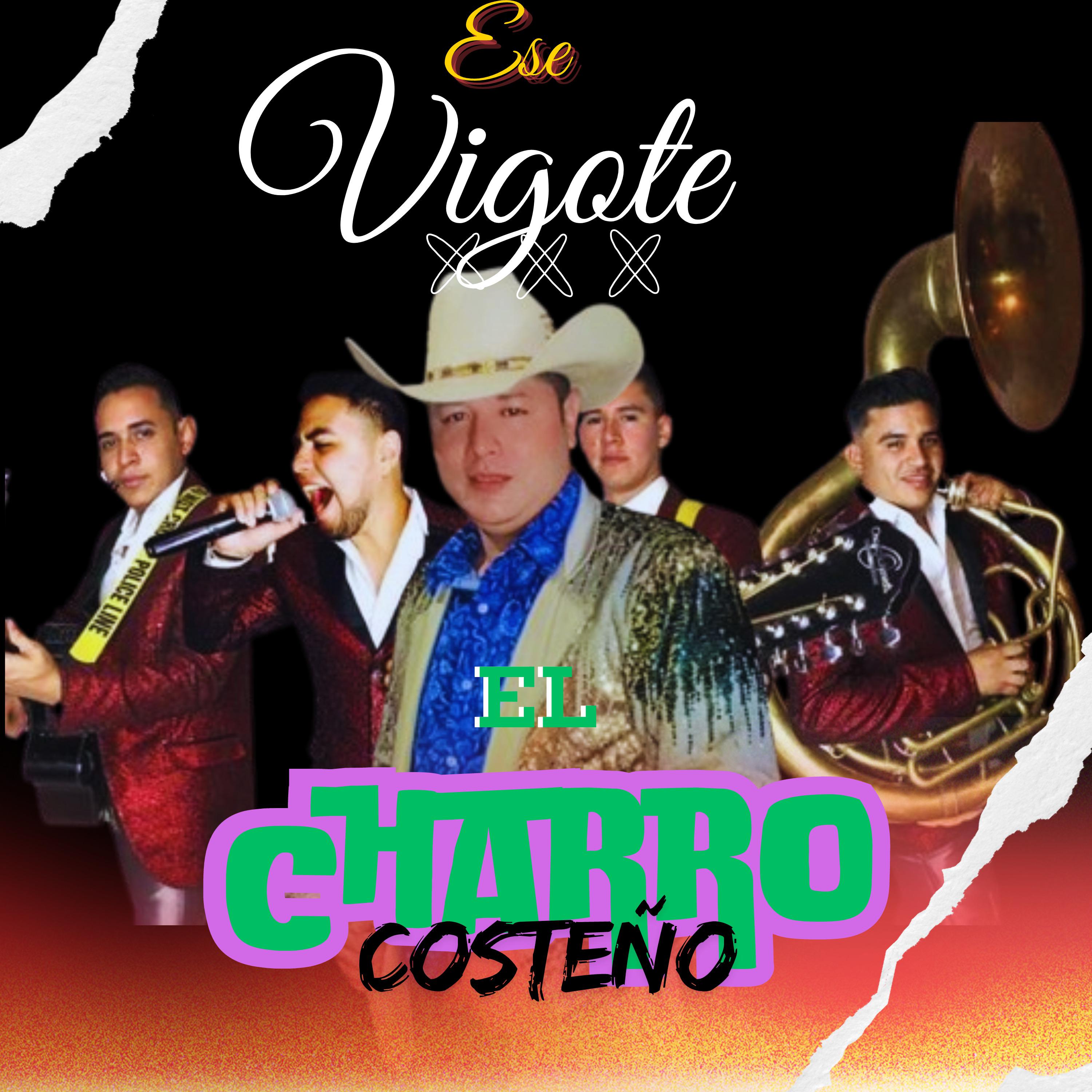 Постер альбома Ese Vigote