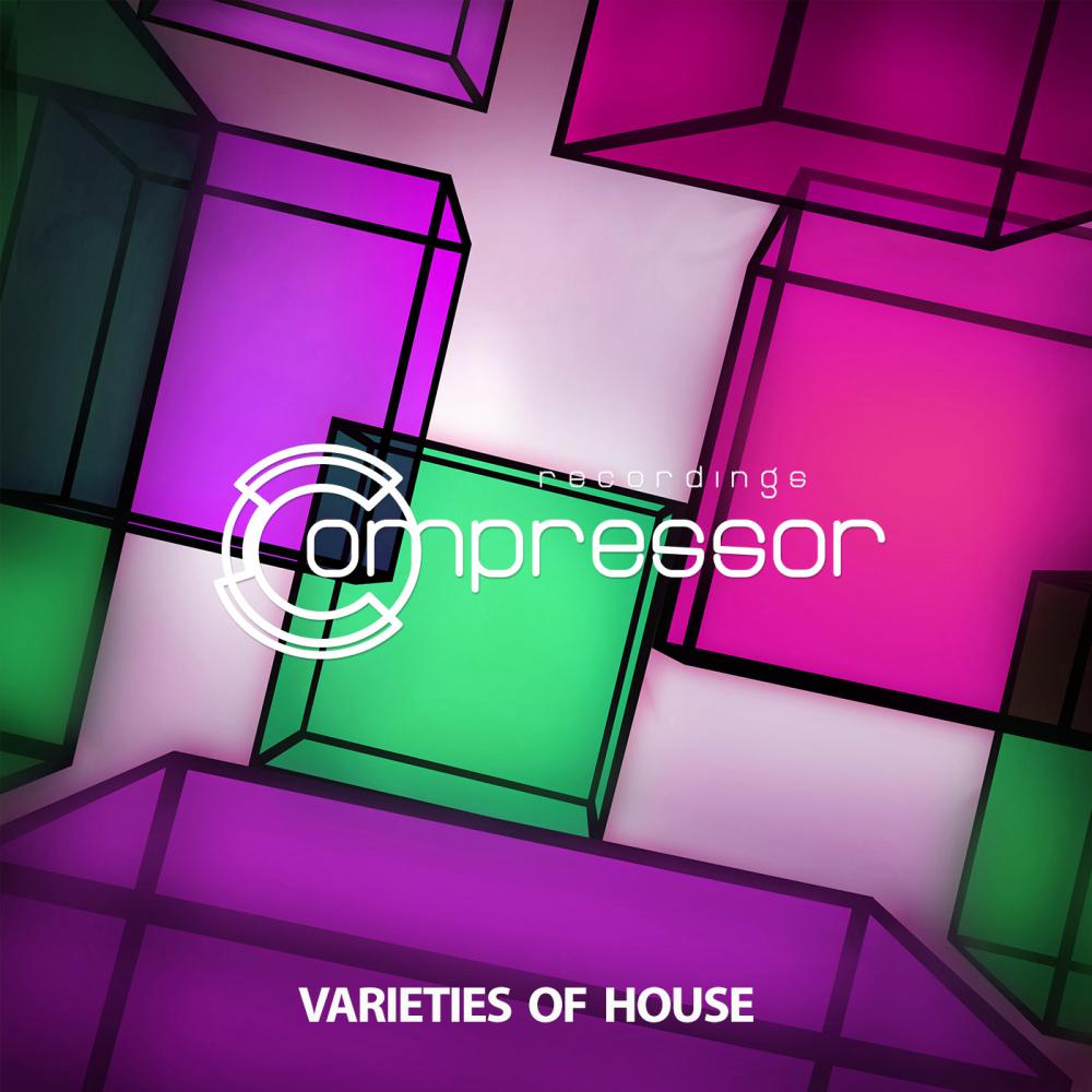 Постер альбома Varieties of House
