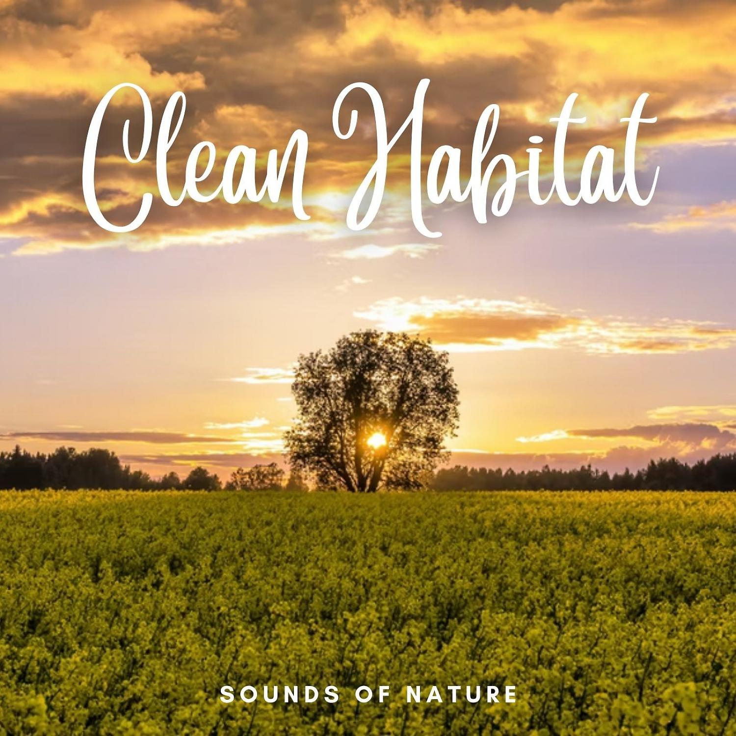 Постер альбома Sounds of Nature: Clean Habitat