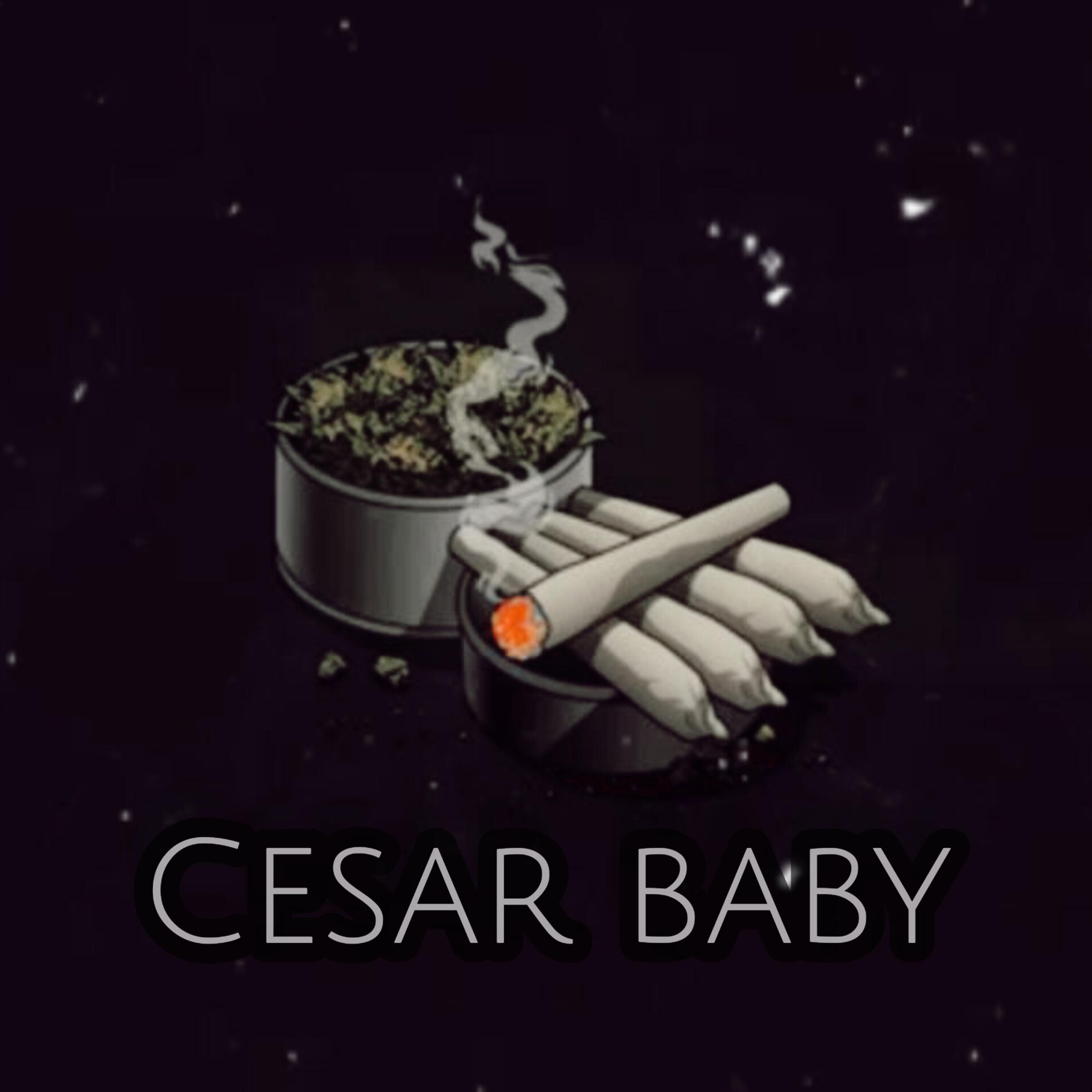 Постер альбома Cesar Baby