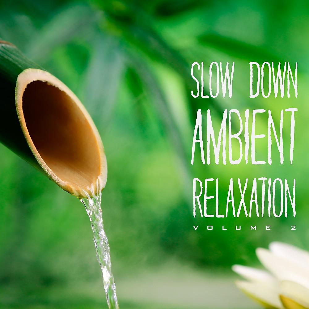 Постер альбома Slow Down Ambient Relaxation, Vol. 2