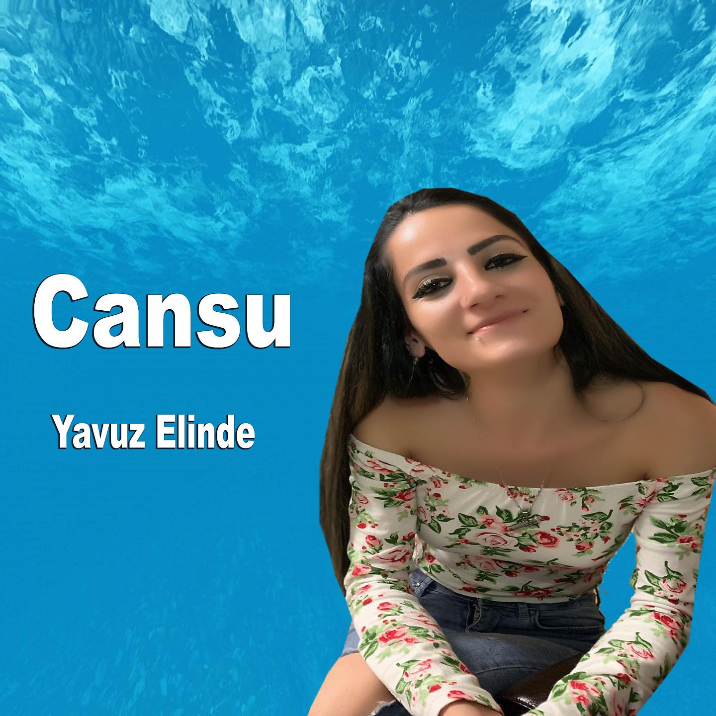 Постер альбома Yavuz Elinde