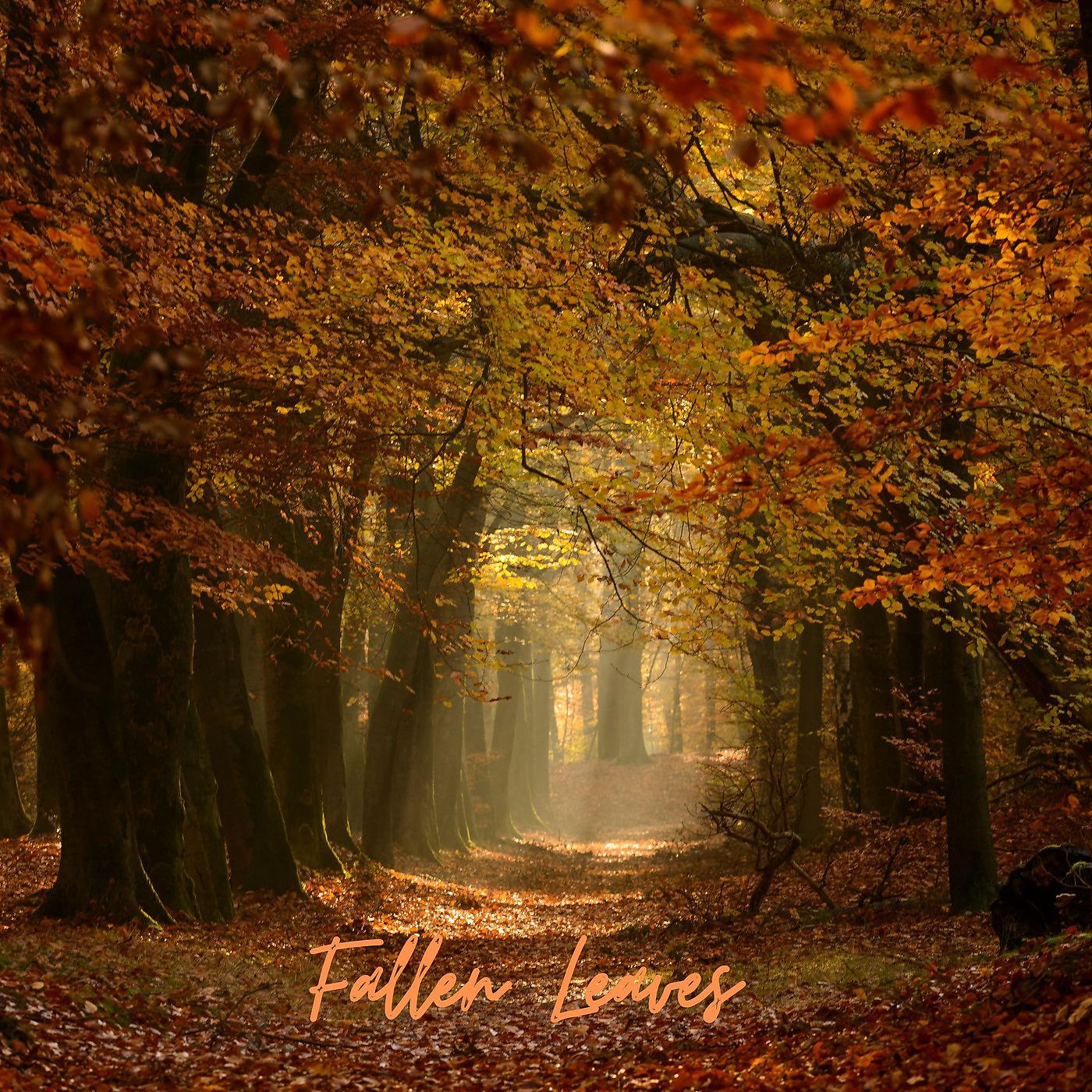 Постер альбома Fallen Leaves