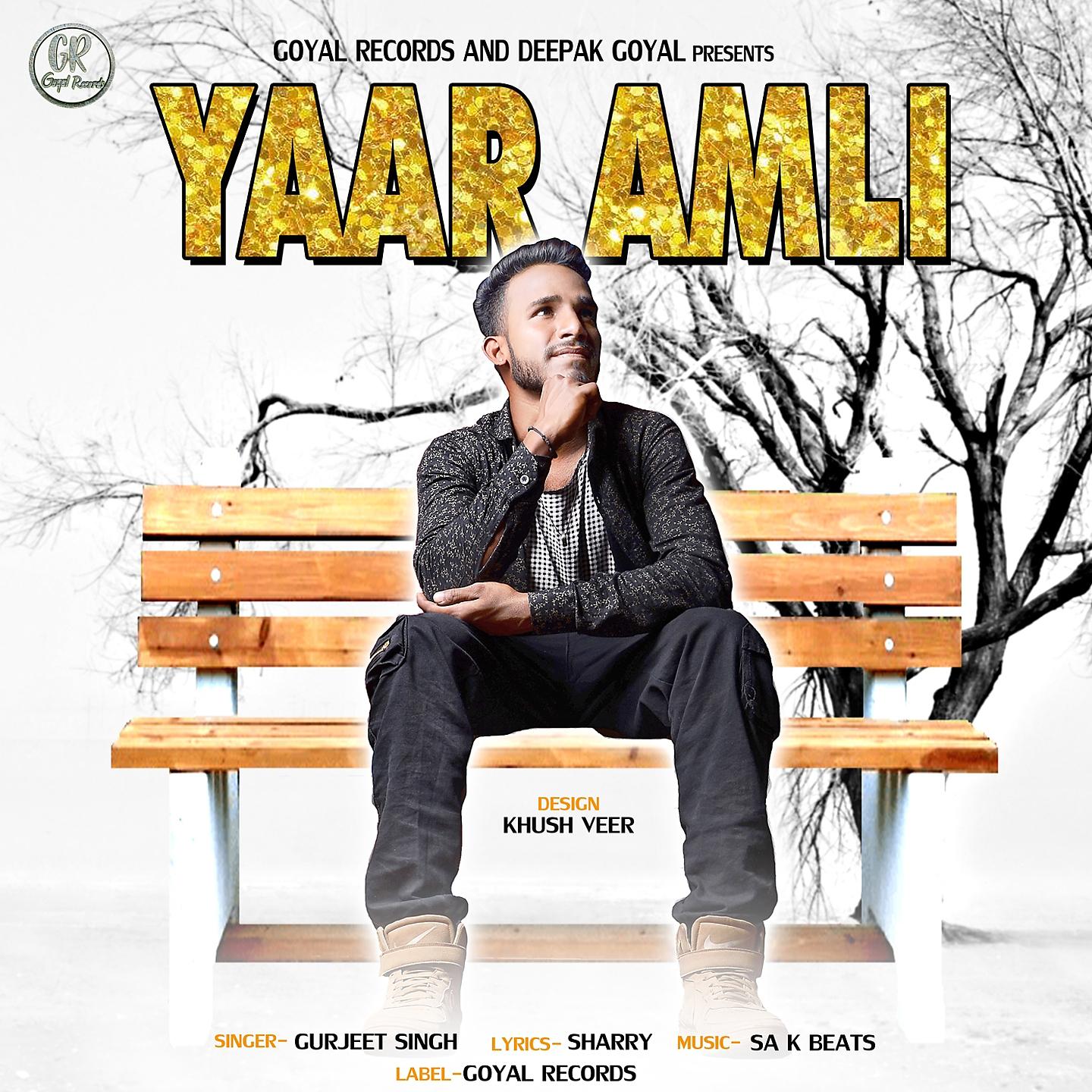 Постер альбома Yaar Amli