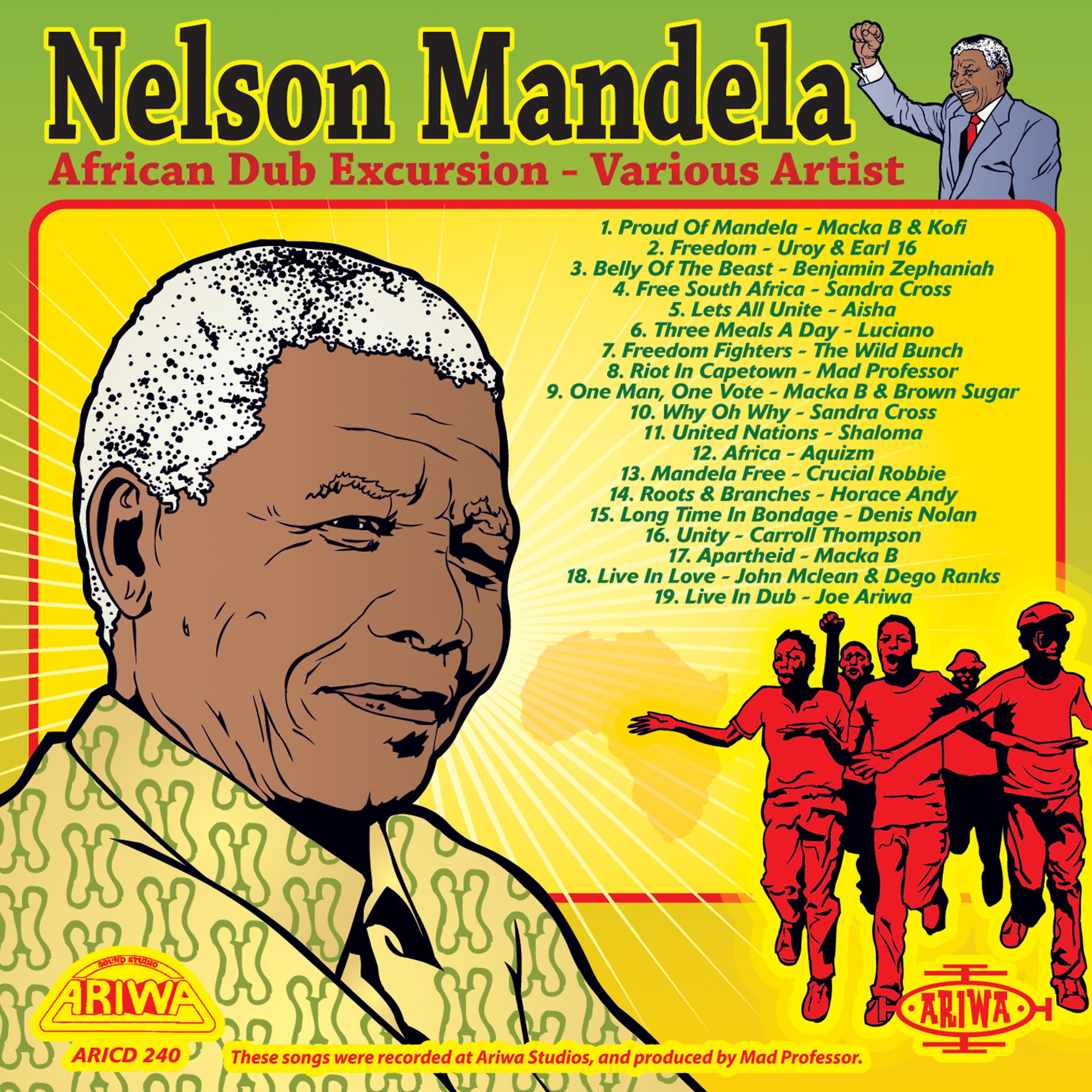 Постер альбома Nelson Mandela: African Dub Excursion
