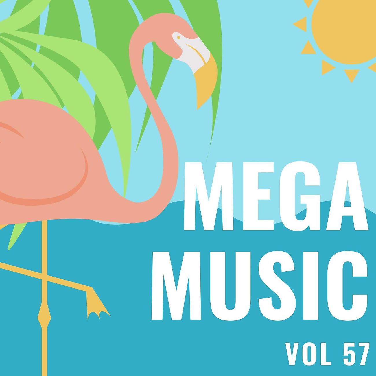 Постер альбома Mega Music Vol 57