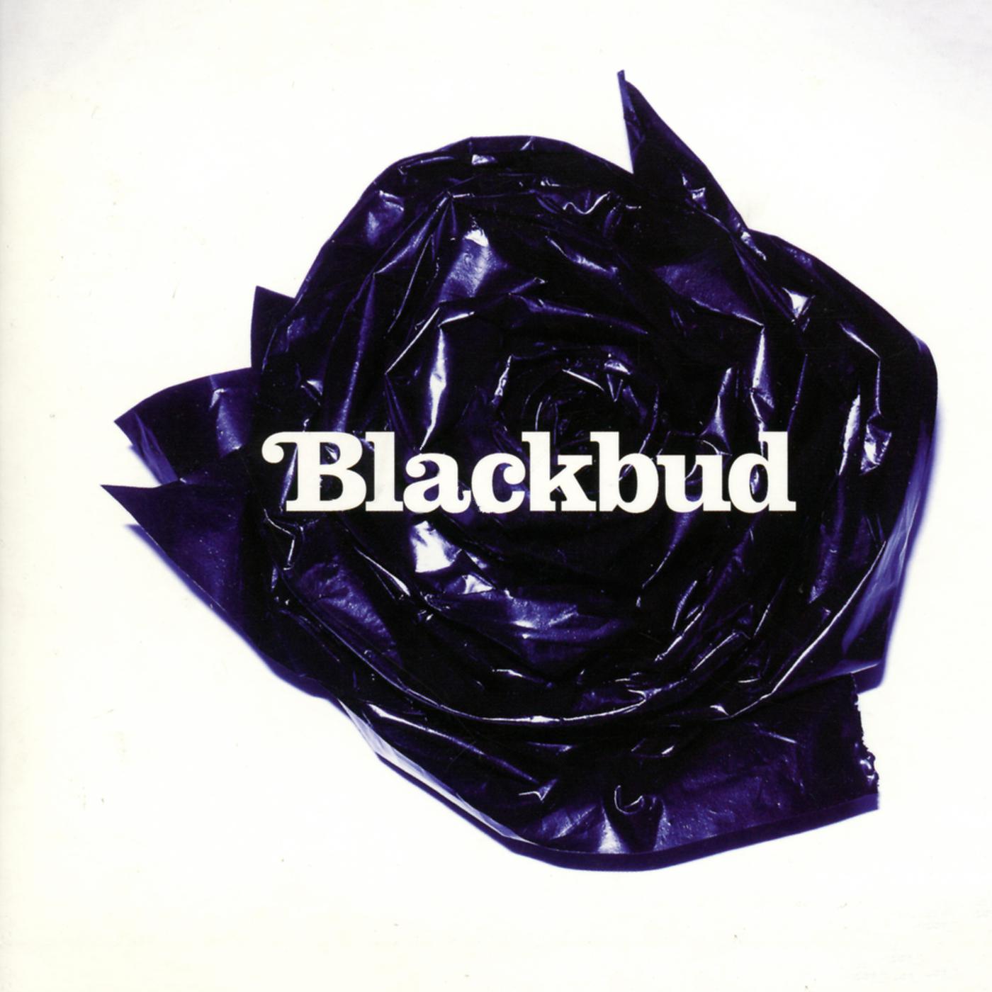 Постер альбома Blackbud