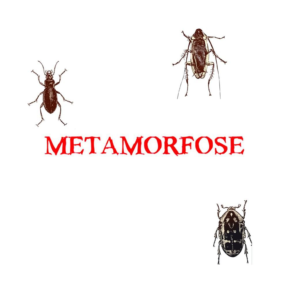 Постер альбома Meta Morfose