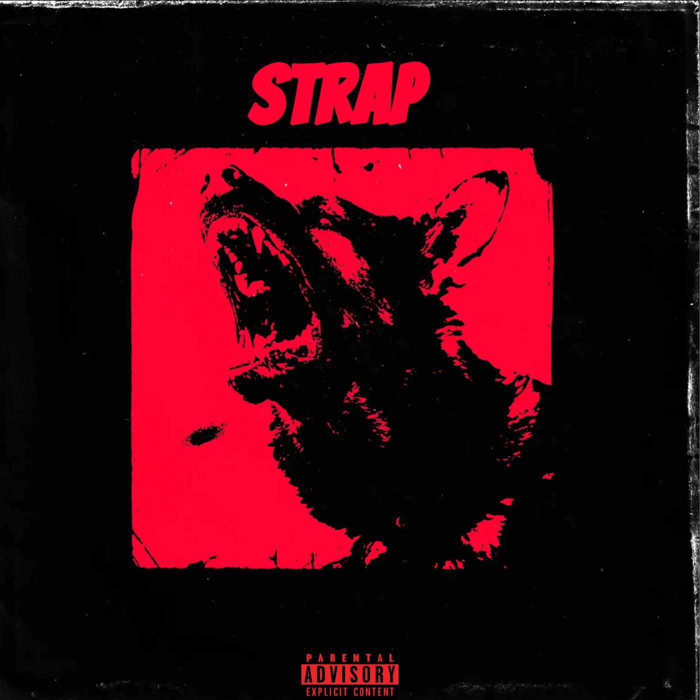 Постер альбома Strap Mastered Edition (feat. Sebastian)