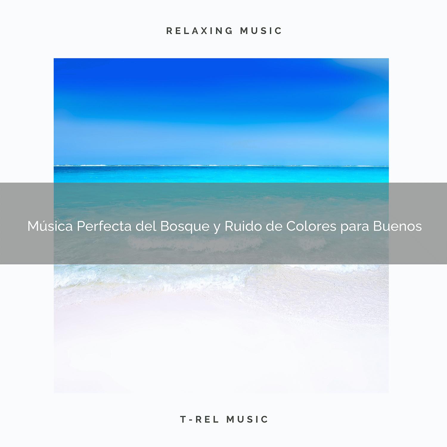 Постер альбома Música Perfecta del Bosque y Ruido de Colores para Buenos