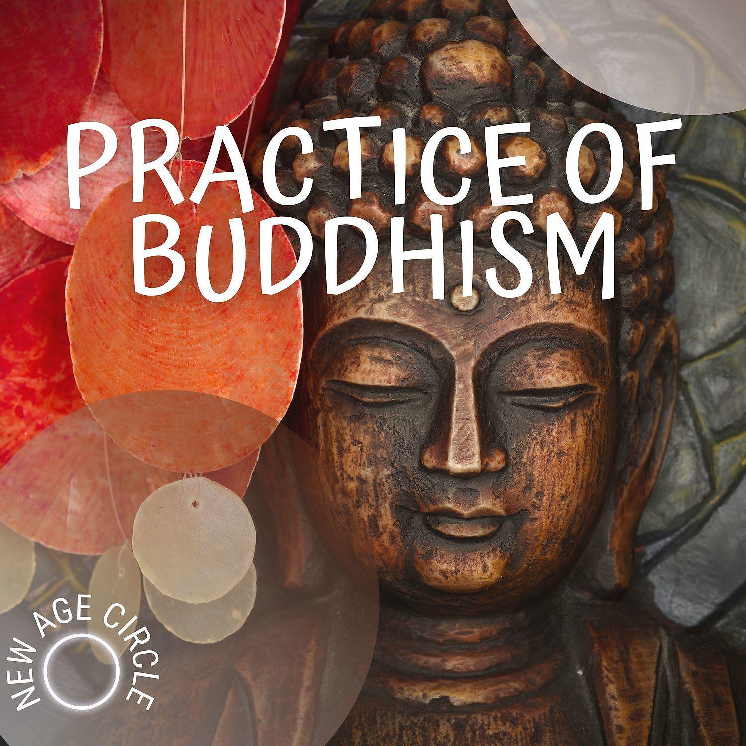 Постер альбома Practice of Buddhism, Prepare for the Dying Process