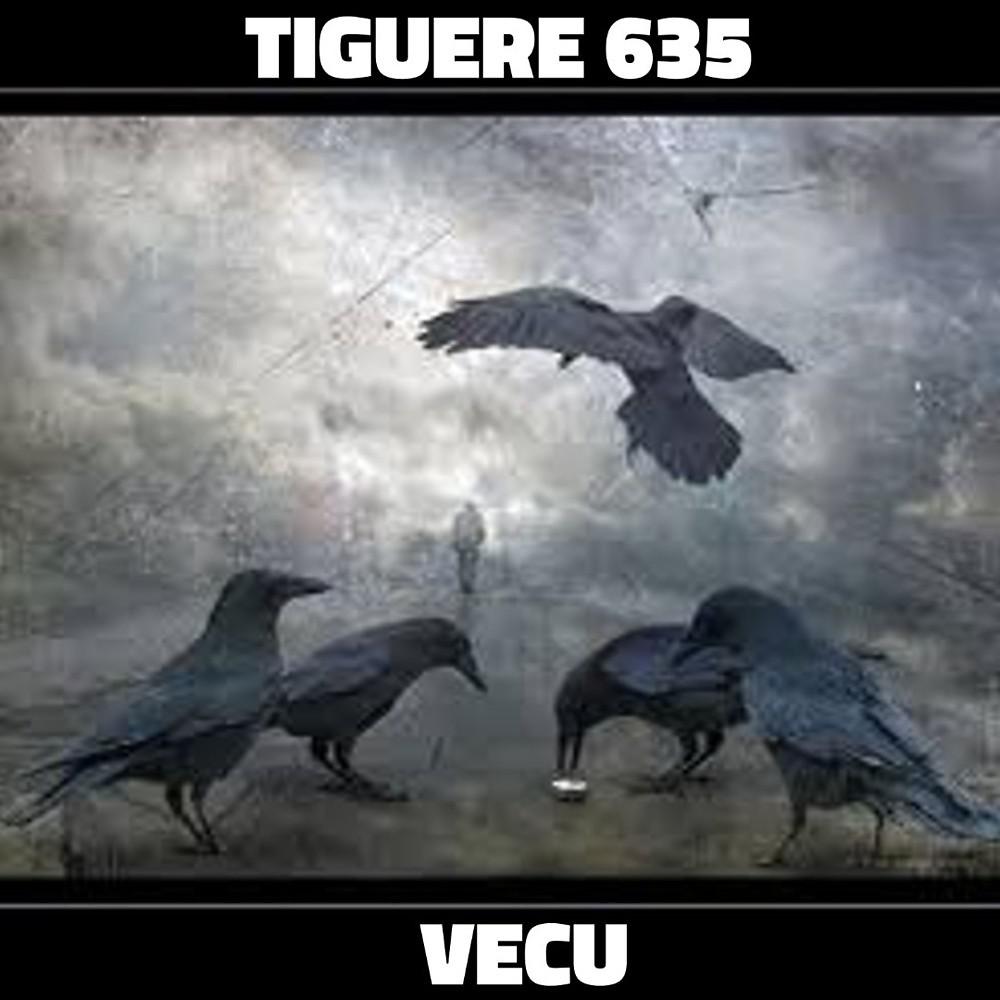 Постер альбома Vecu
