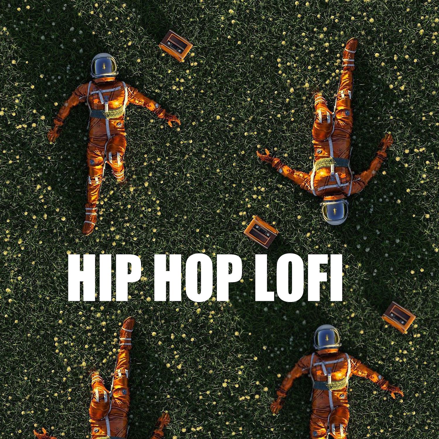 Постер альбома Hip Hop Lofi