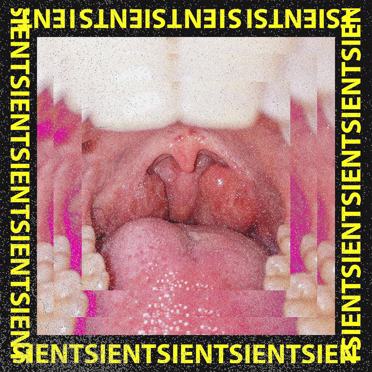 Постер альбома Sient