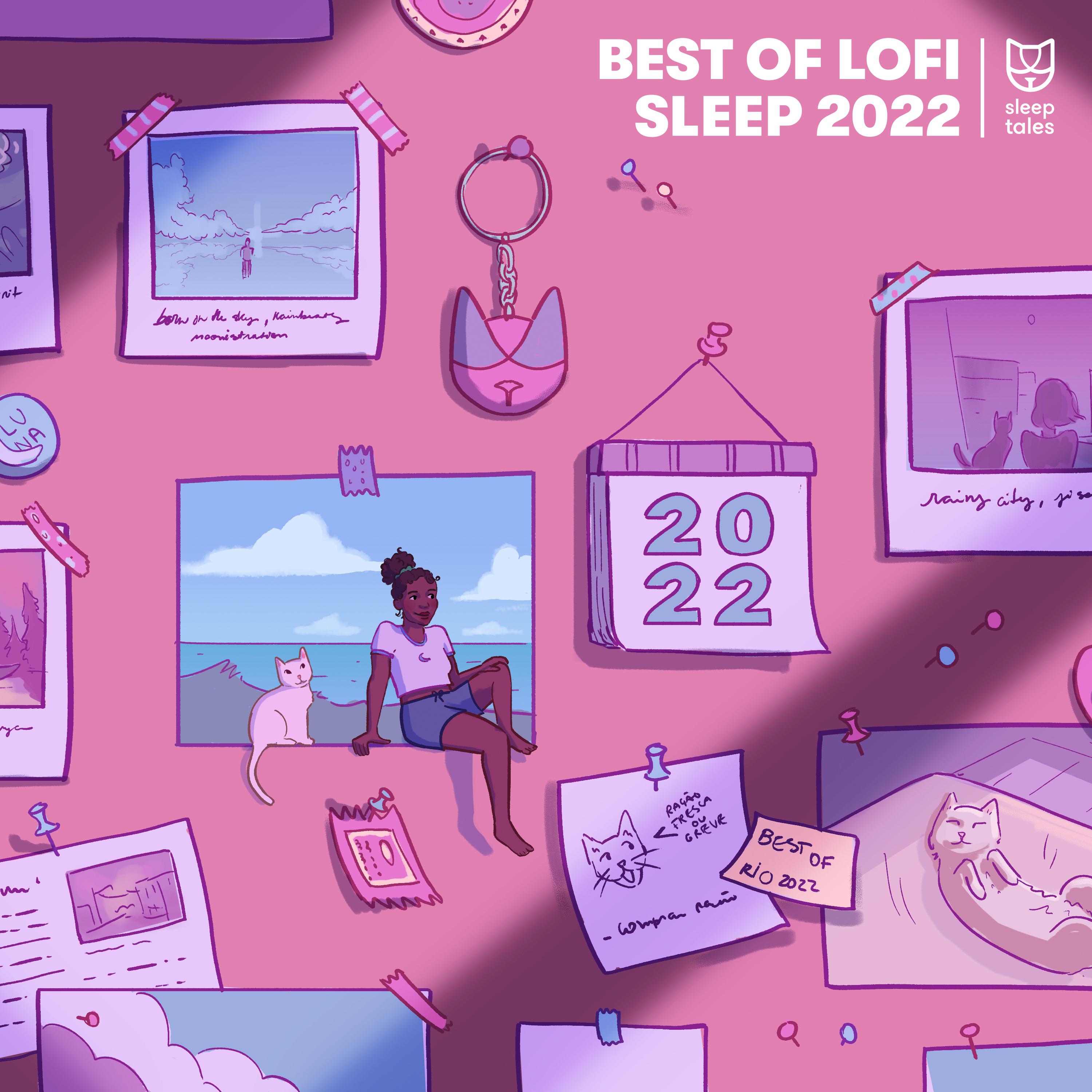 Постер альбома Best of Lofi Sleep 2022