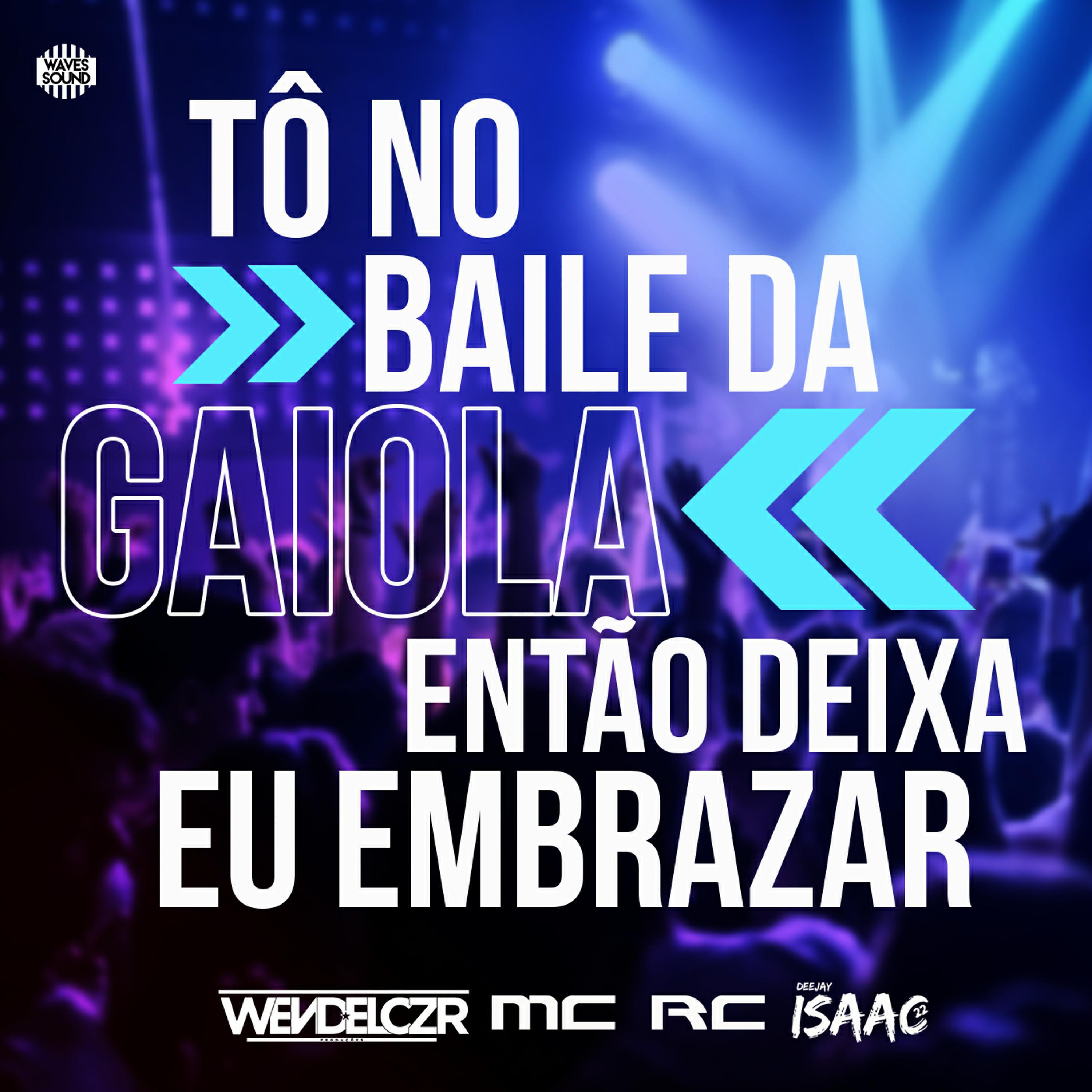 Постер альбома Tô No Baile da Gaiola Então Deixa Eu Embrazar