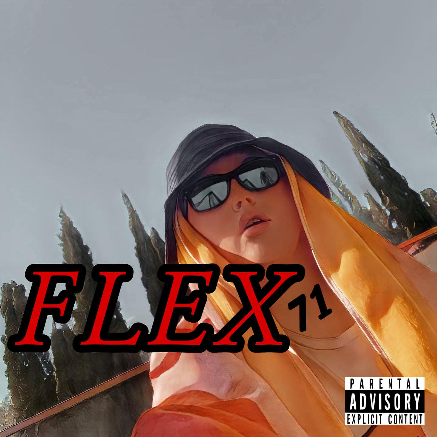 Постер альбома FLEX