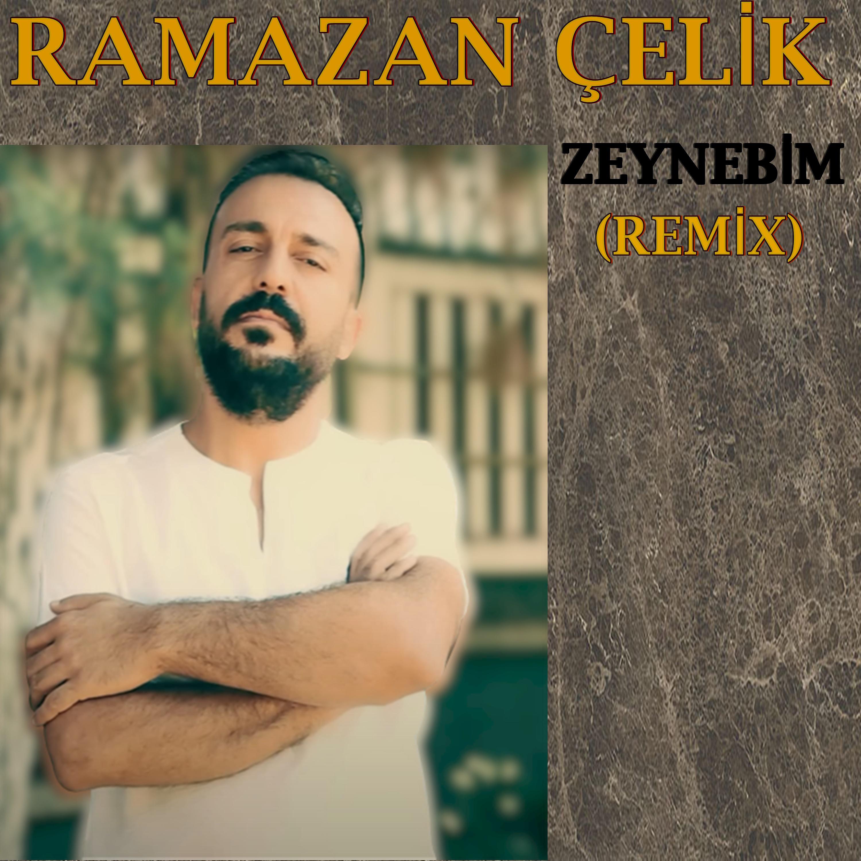 Постер альбома Zeynebim