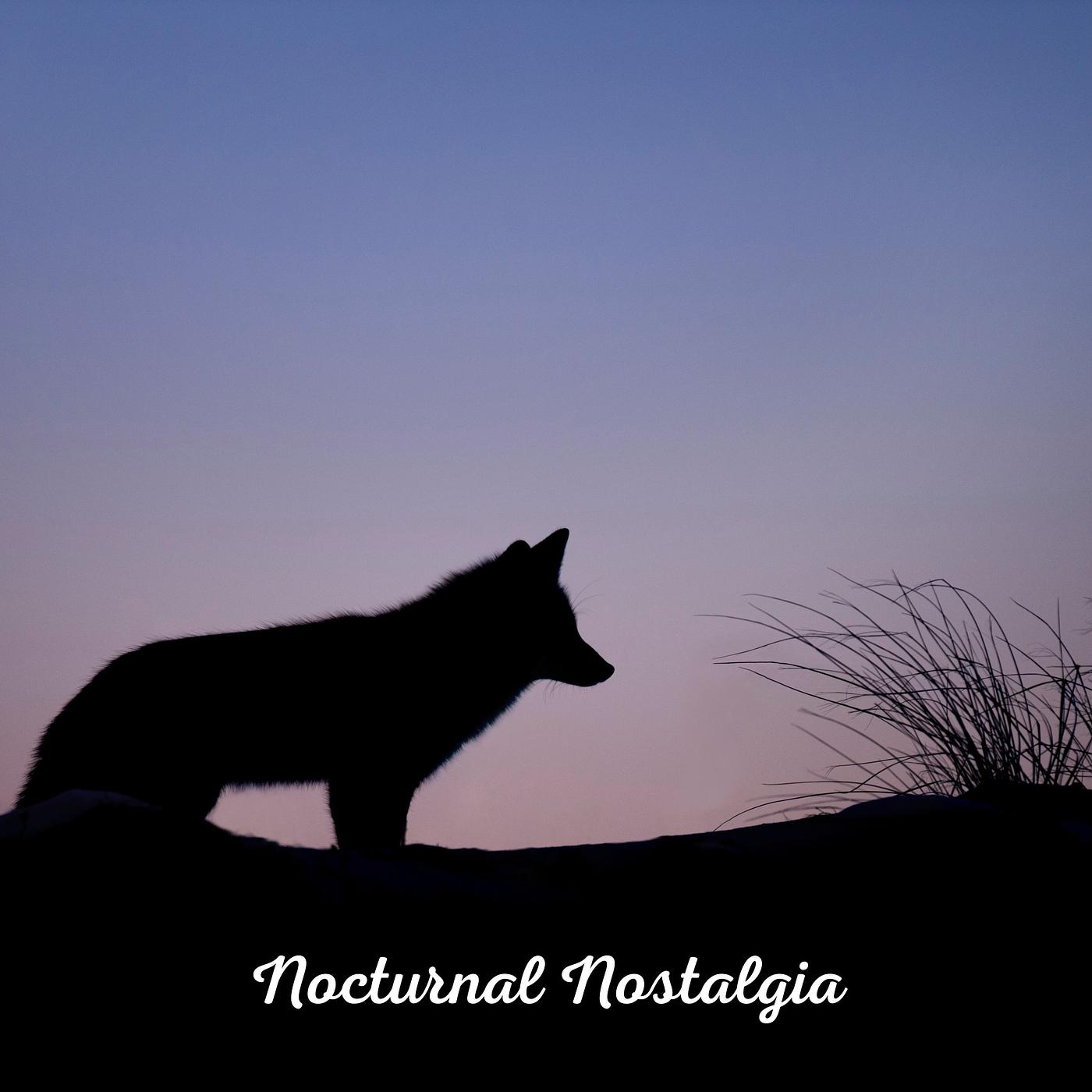 Постер альбома Nocturnal Nostalgia
