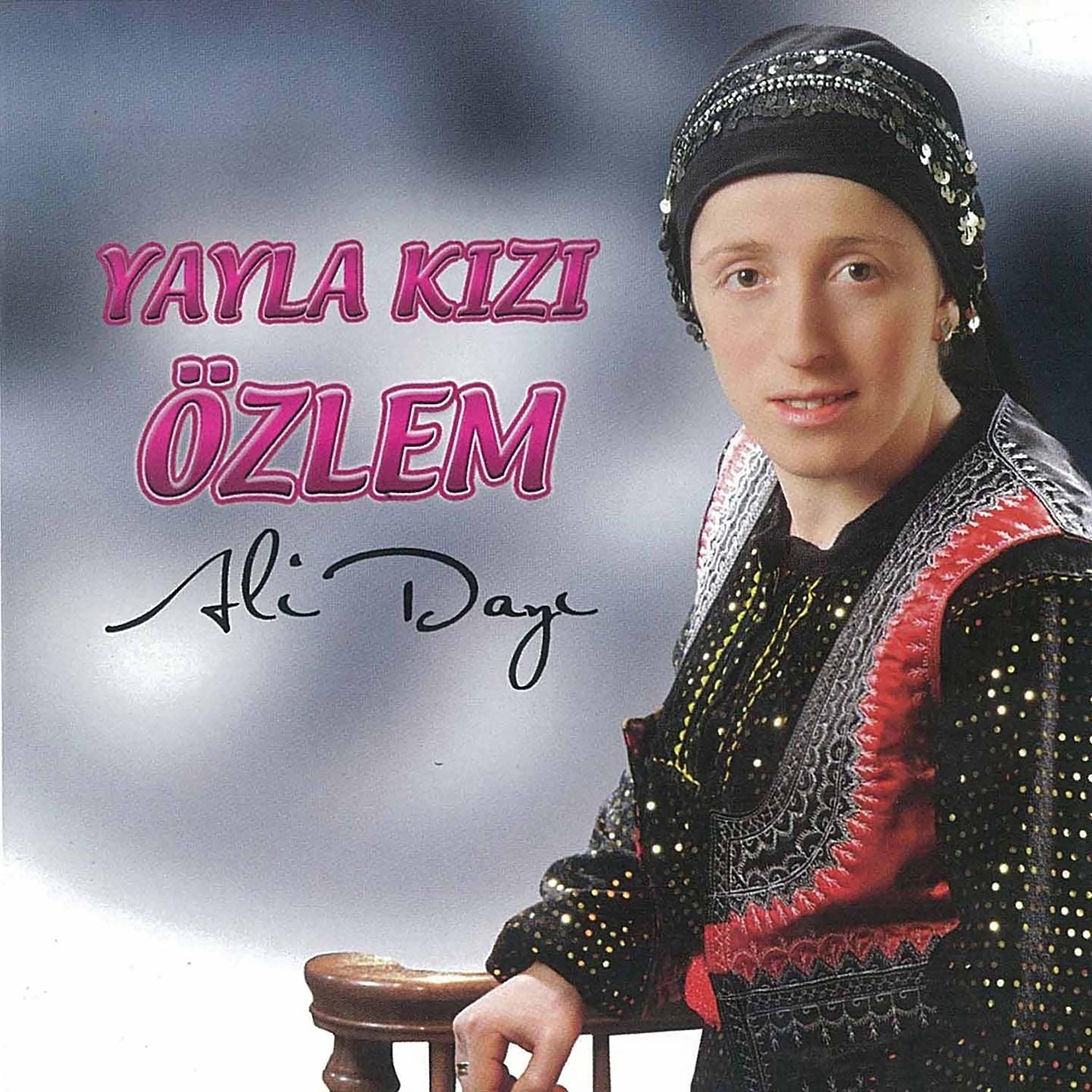 Постер альбома Ali Dayı