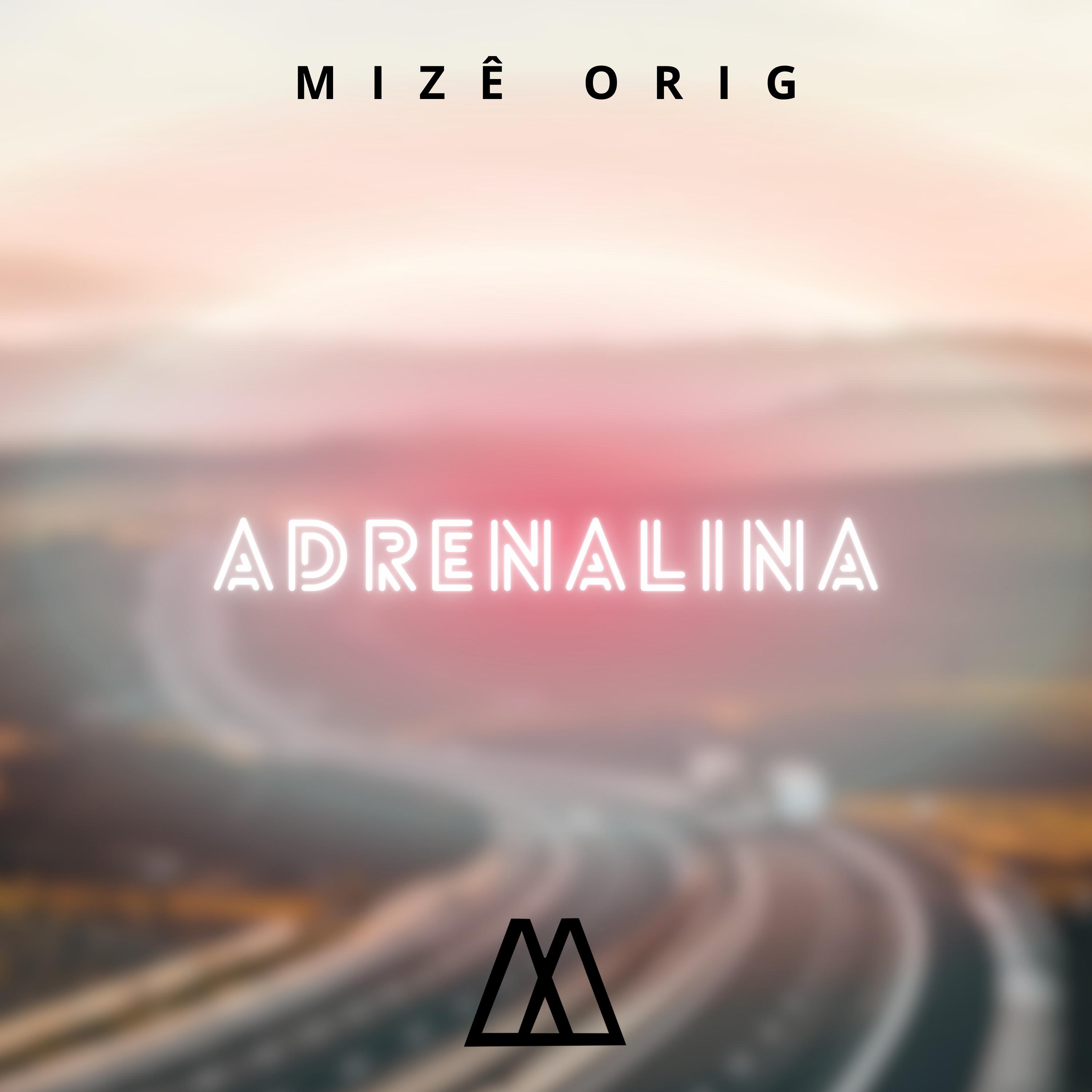 Постер альбома Adrenalina (Lo-Fi)