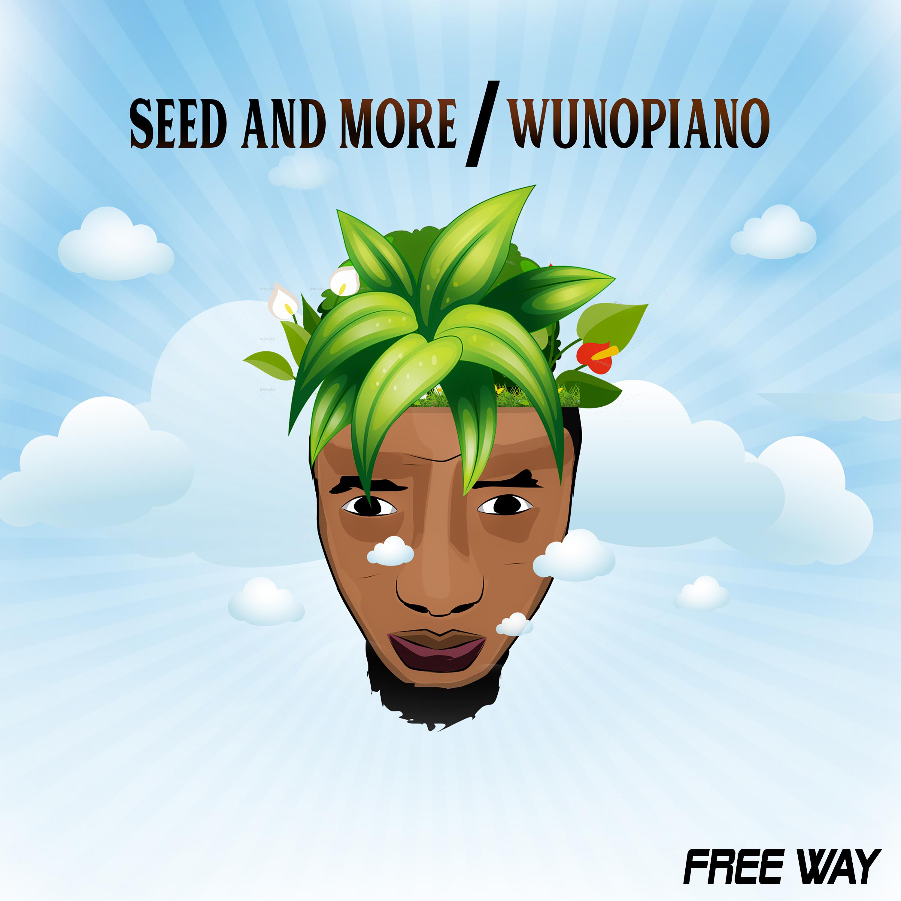 Постер альбома Seed and More / Wunopiano