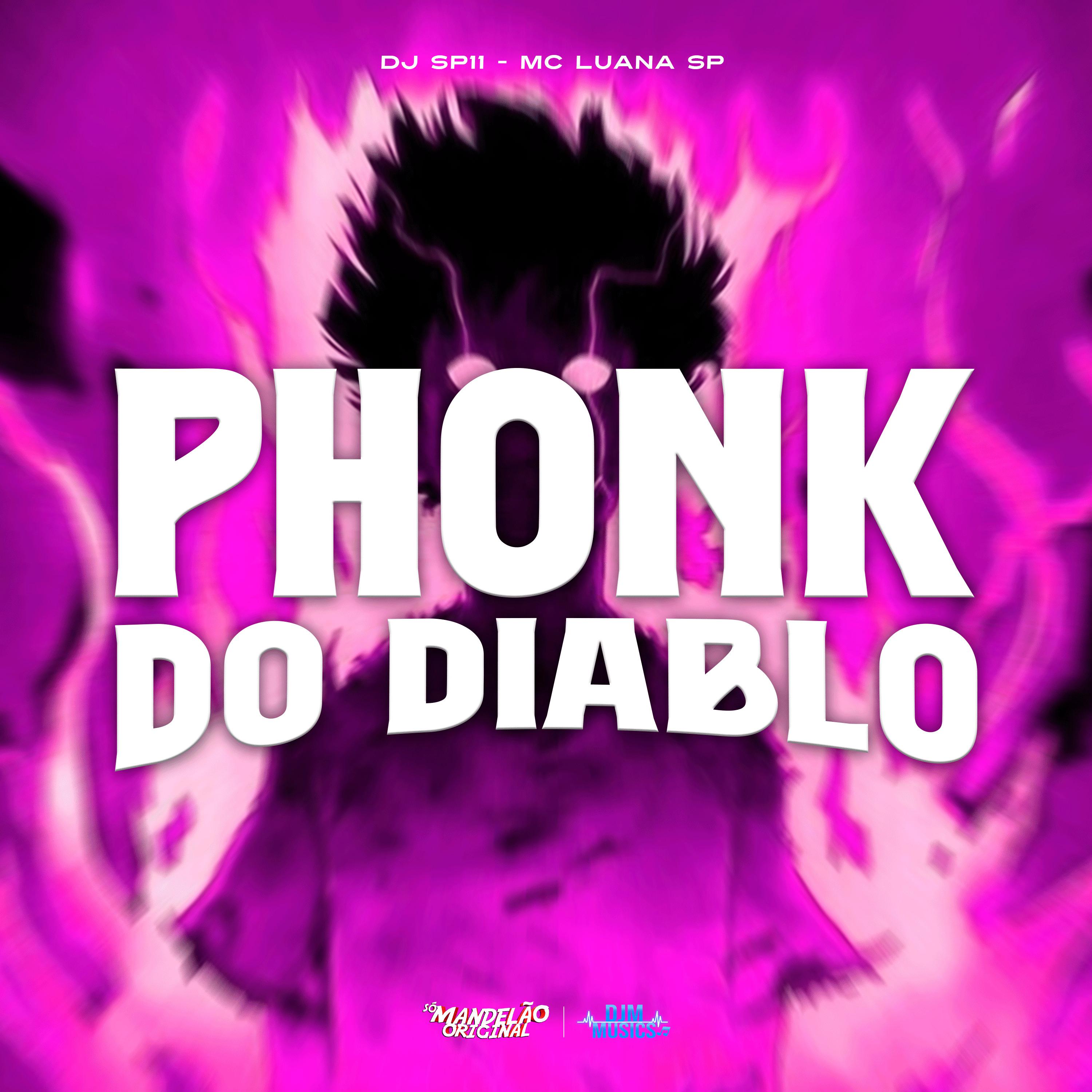 Постер альбома Phonk do Diablo