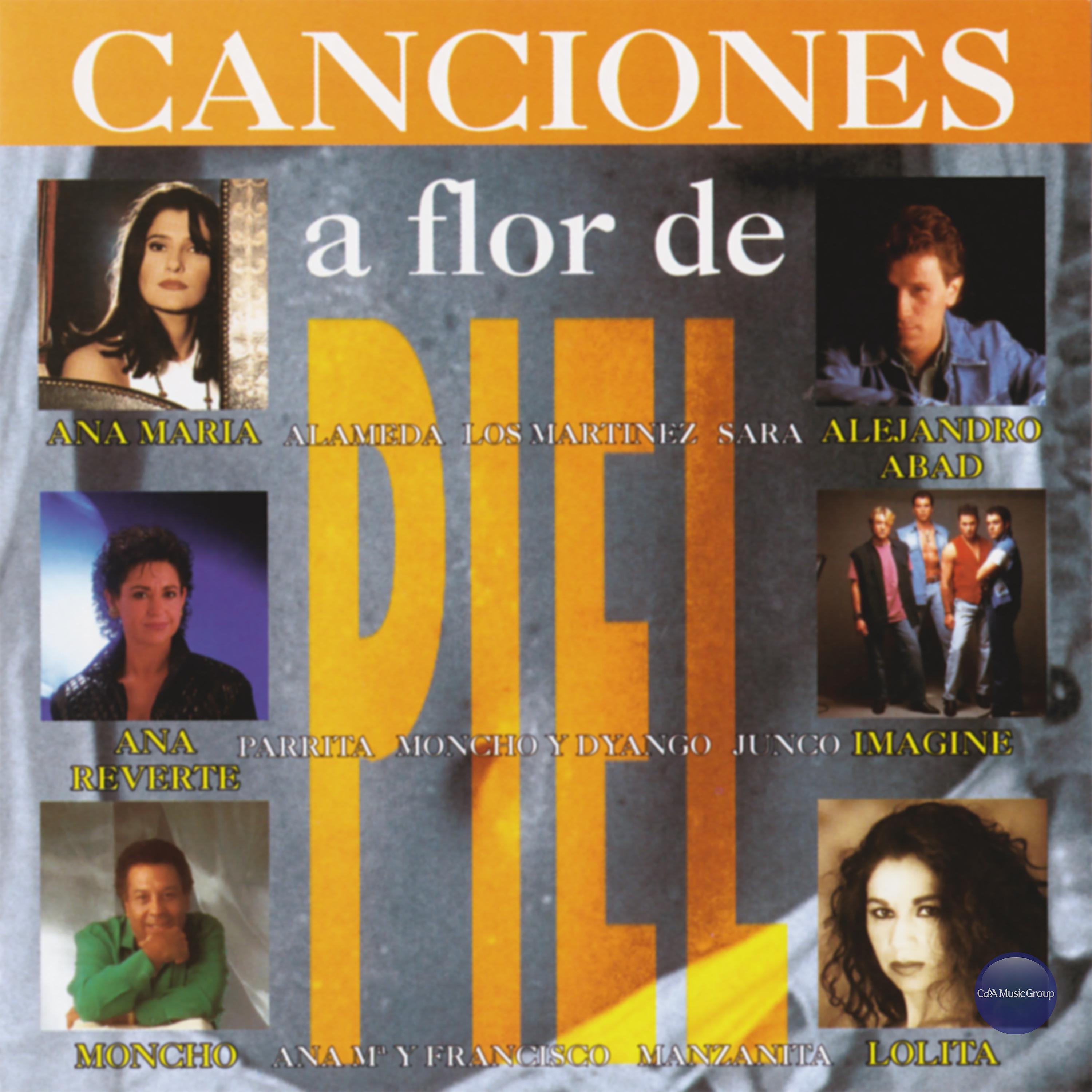 Постер альбома Canciones a Flor de Piel
