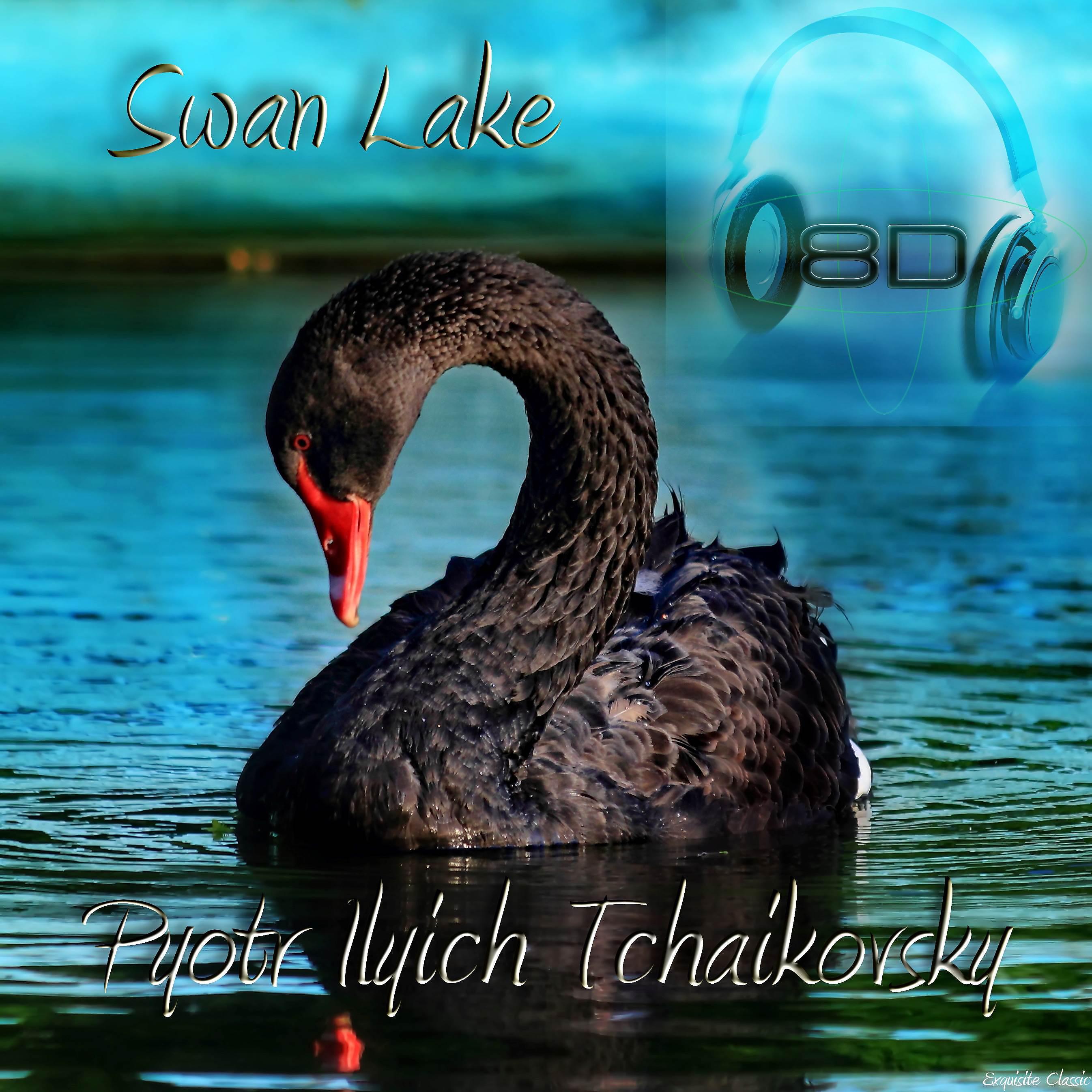 Постер альбома Swan Lake - Pyotr Ilyich Tchaikovsky